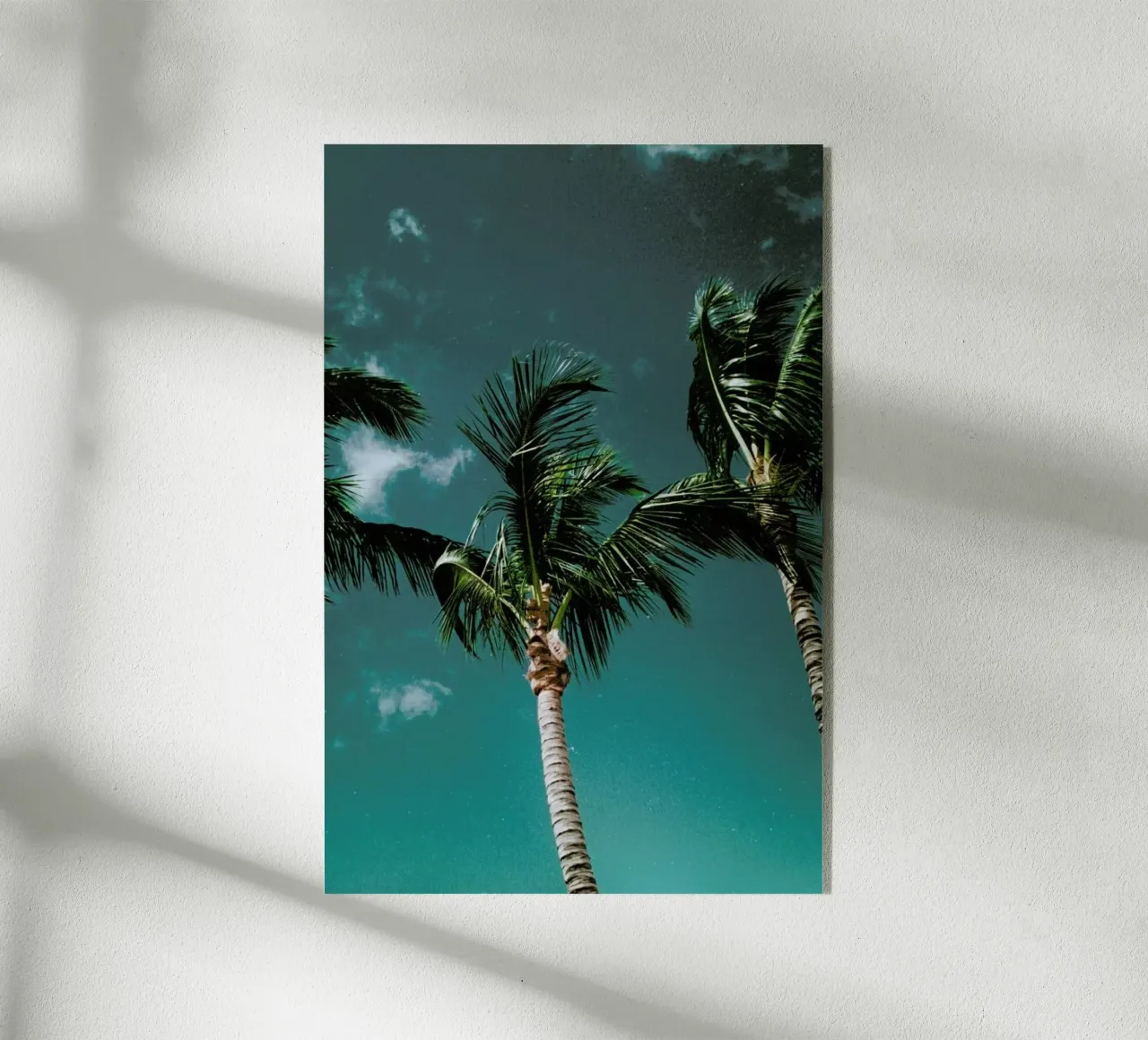 Tropical Palms plexiglass da Sebastian Hilgetag