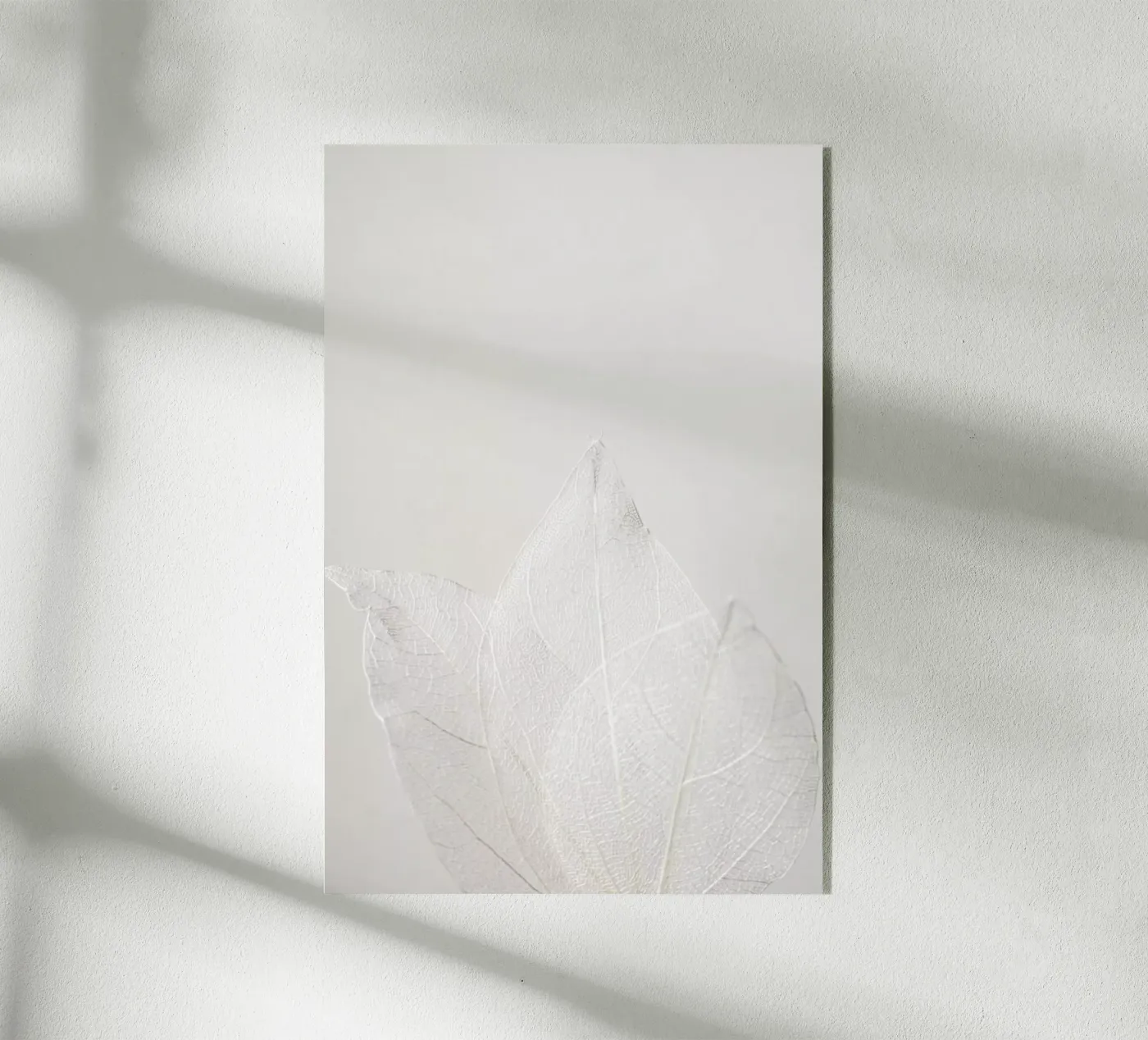 Light Skeleton Leaves plexiglass da Babett Schultze