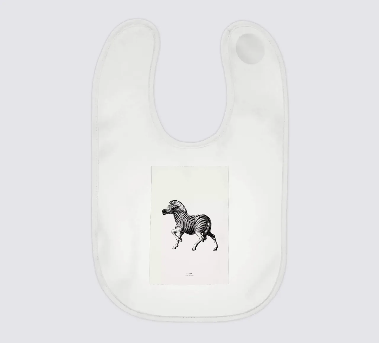 Zebra bavaglino da Flora & Fauna