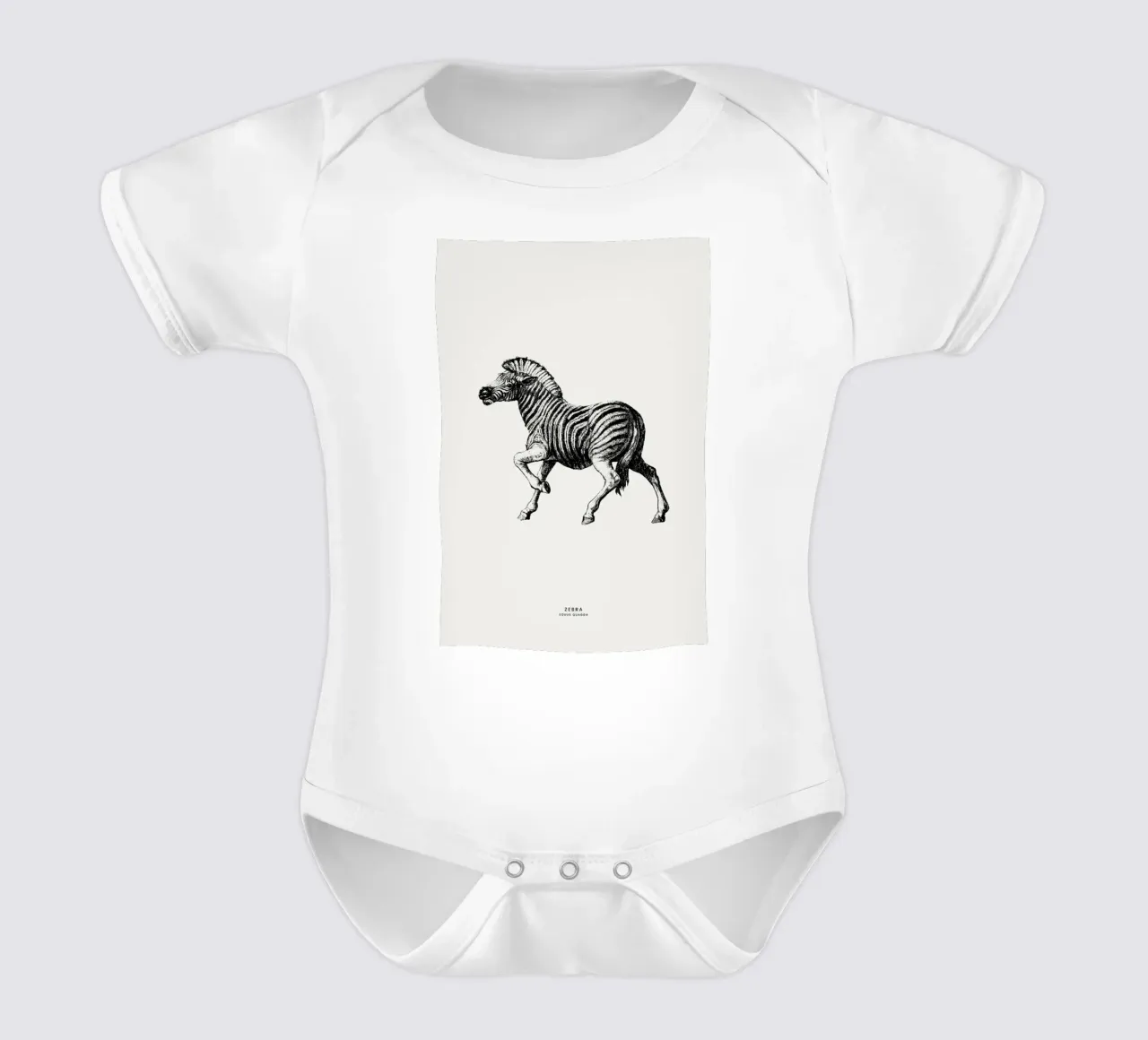Zebra body neonato maniche corte da Flora & Fauna
