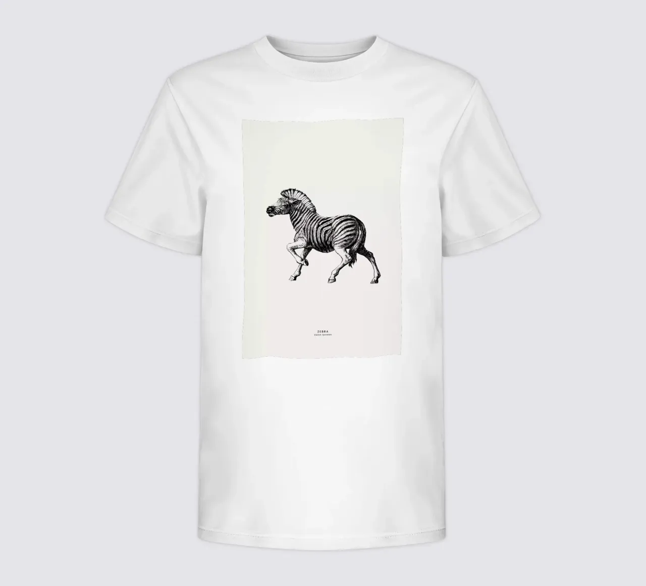 Zebra kinder t-shirt van Flora & Fauna