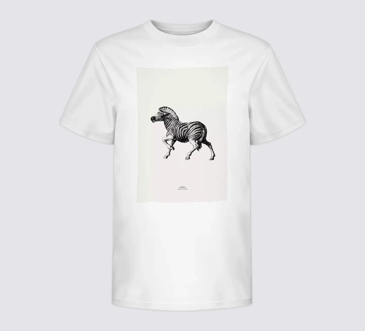 Zebra t-shirt bambini da Flora & Fauna