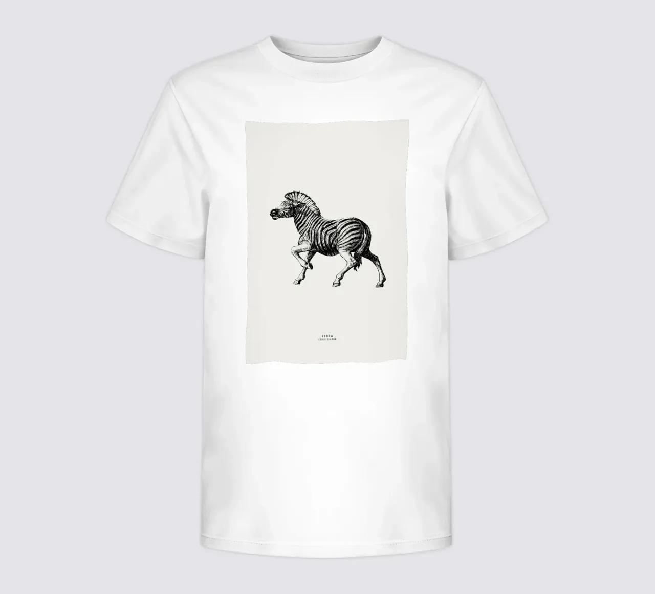 Zebra kinder t-shirt van Flora & Fauna