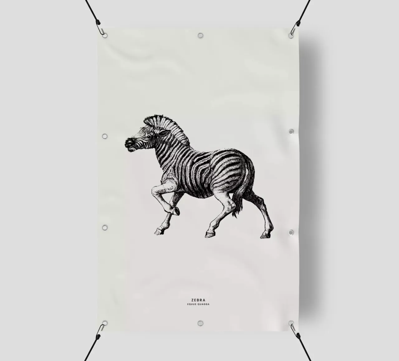 Zebra telo in pvc da Flora & Fauna