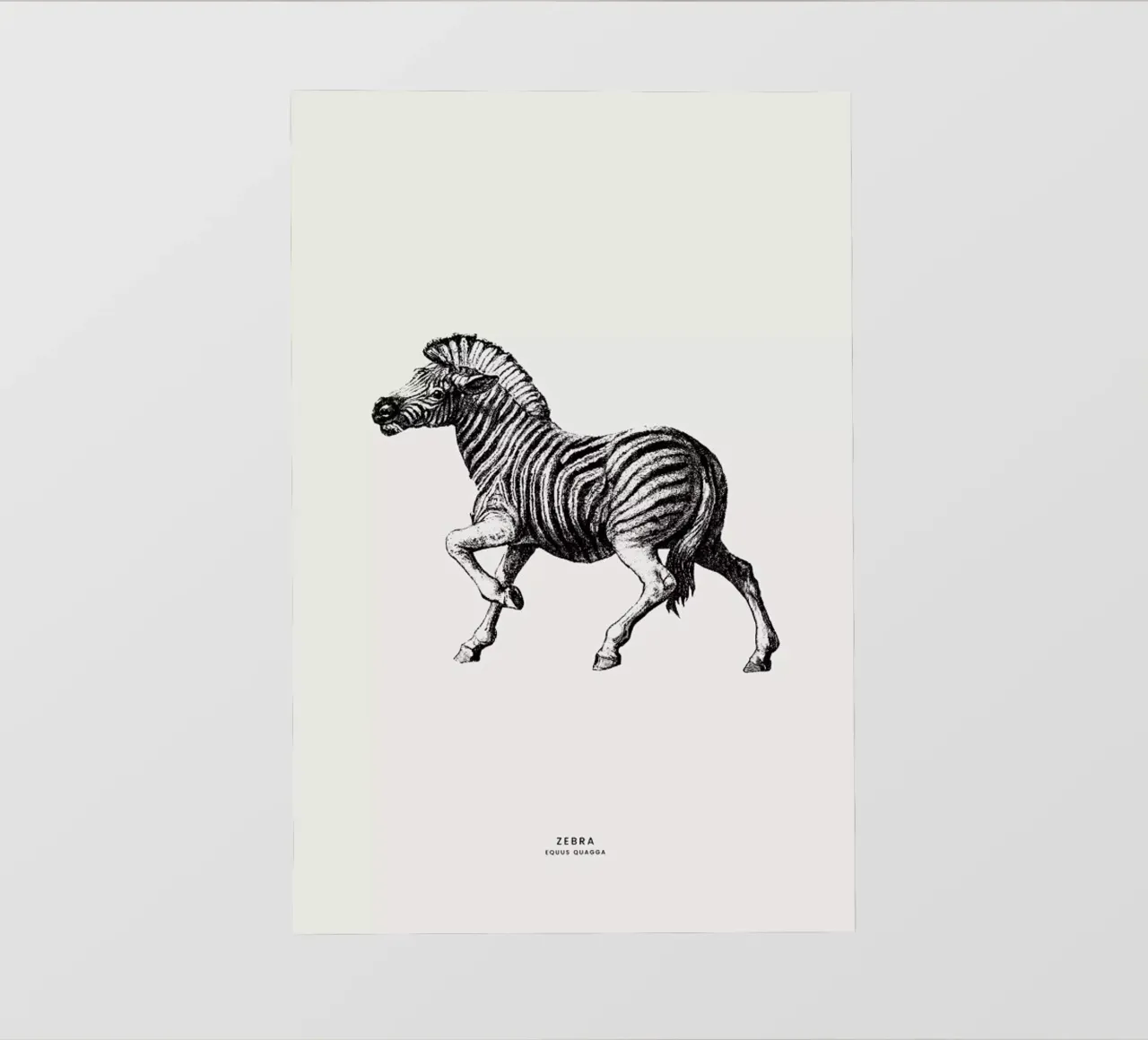 Zebra telo in pvc da Flora & Fauna