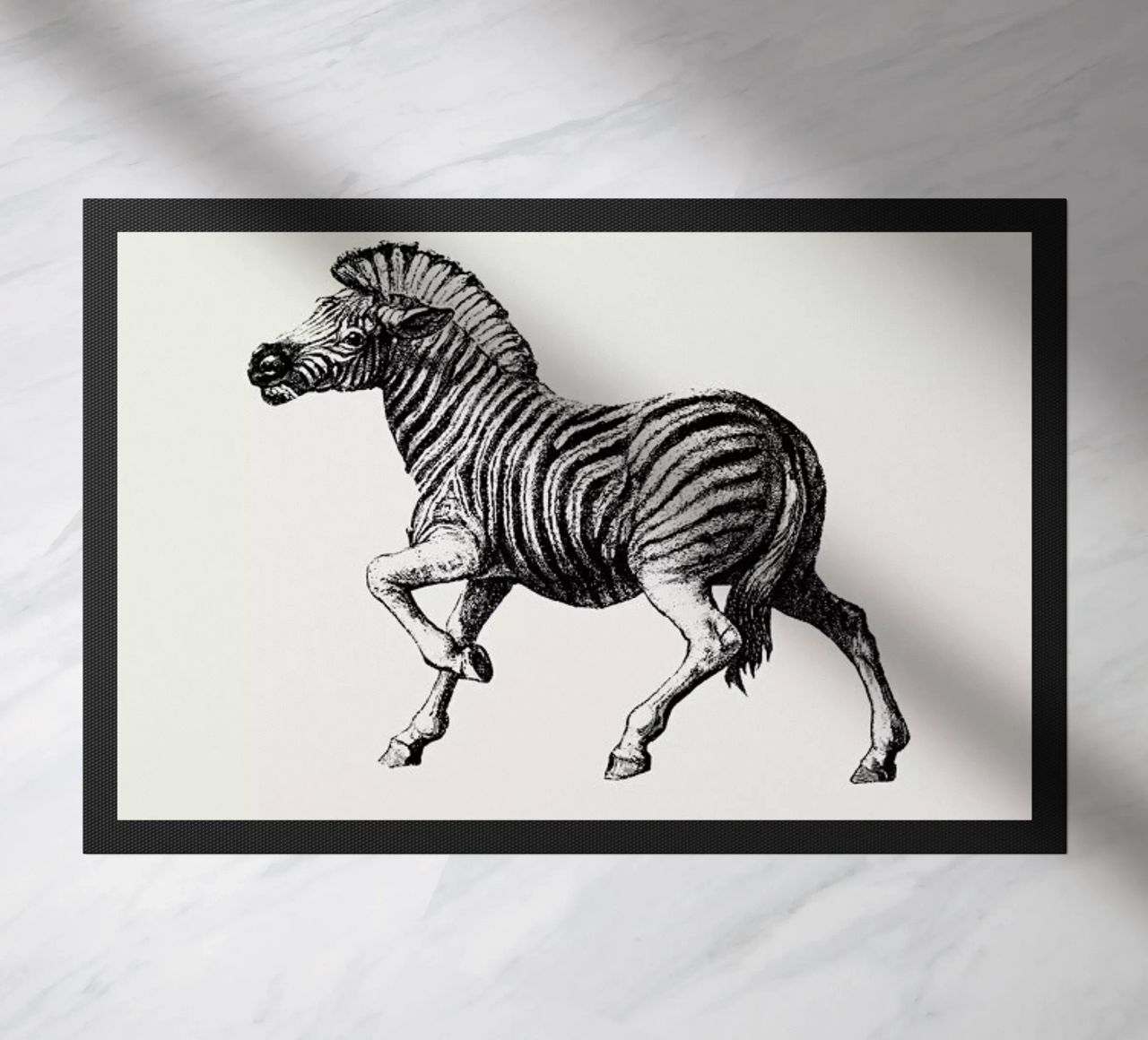 Zebra zerbino da Flora & Fauna