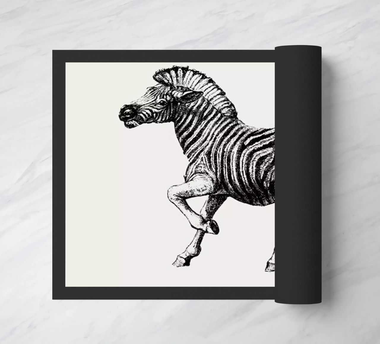 Zebra zerbino da Flora & Fauna