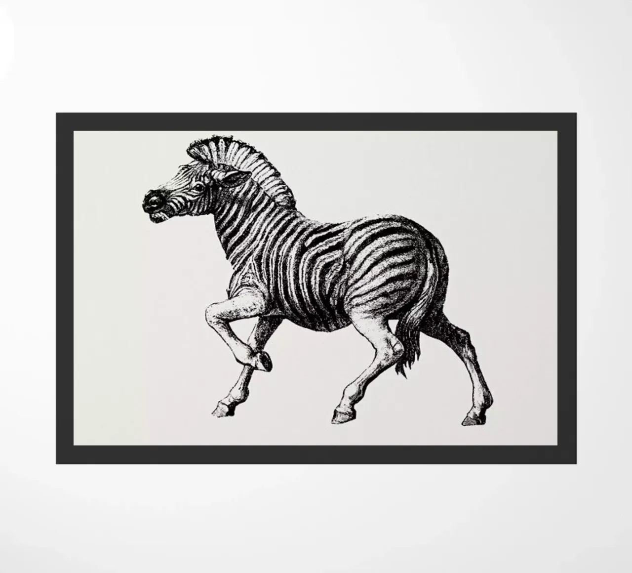 Zebra doormat by Flora & Fauna