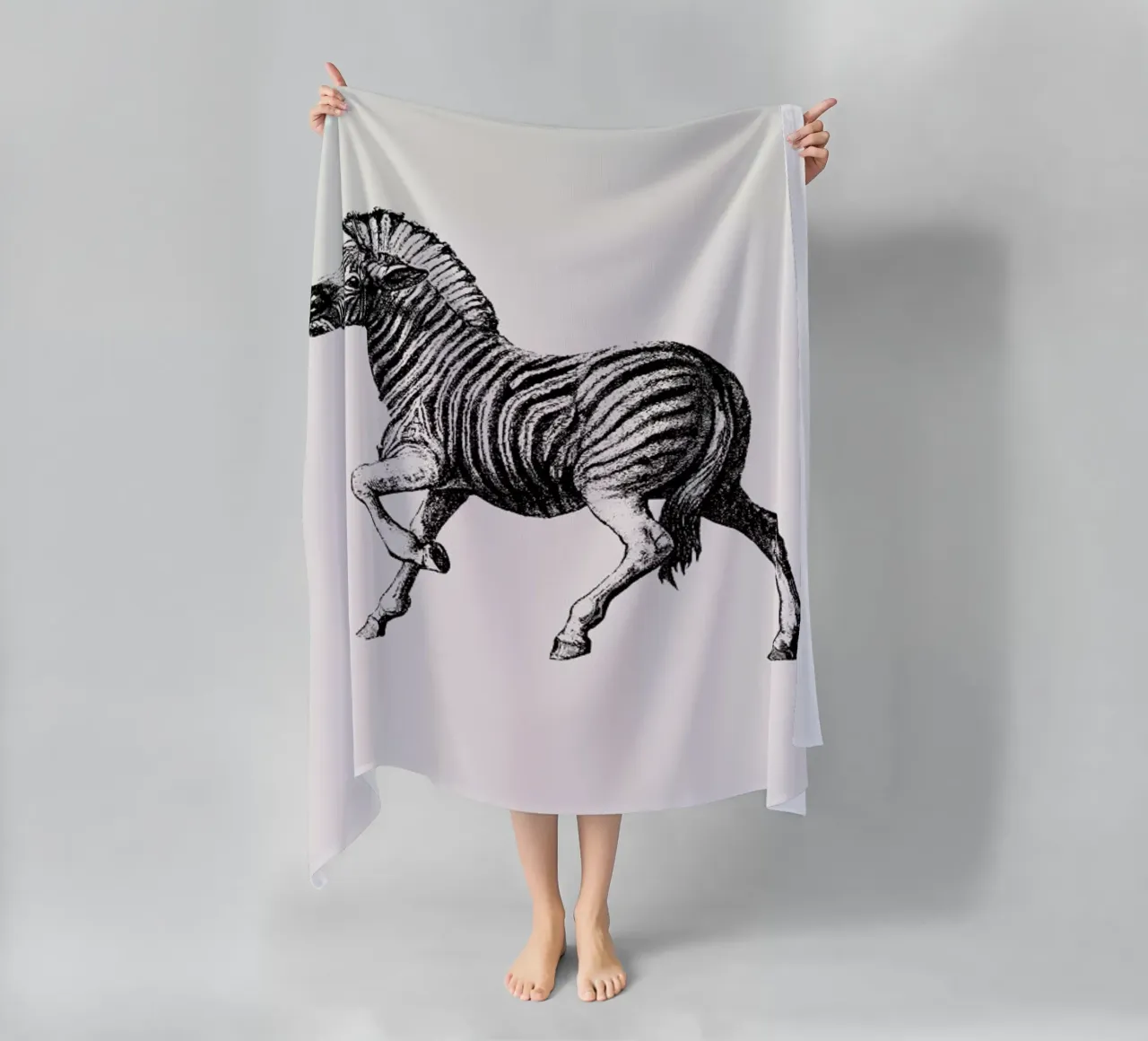 Zebra telo mare da Flora & Fauna