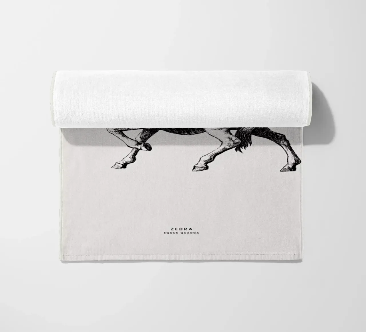 Zebra telo mare da Flora & Fauna