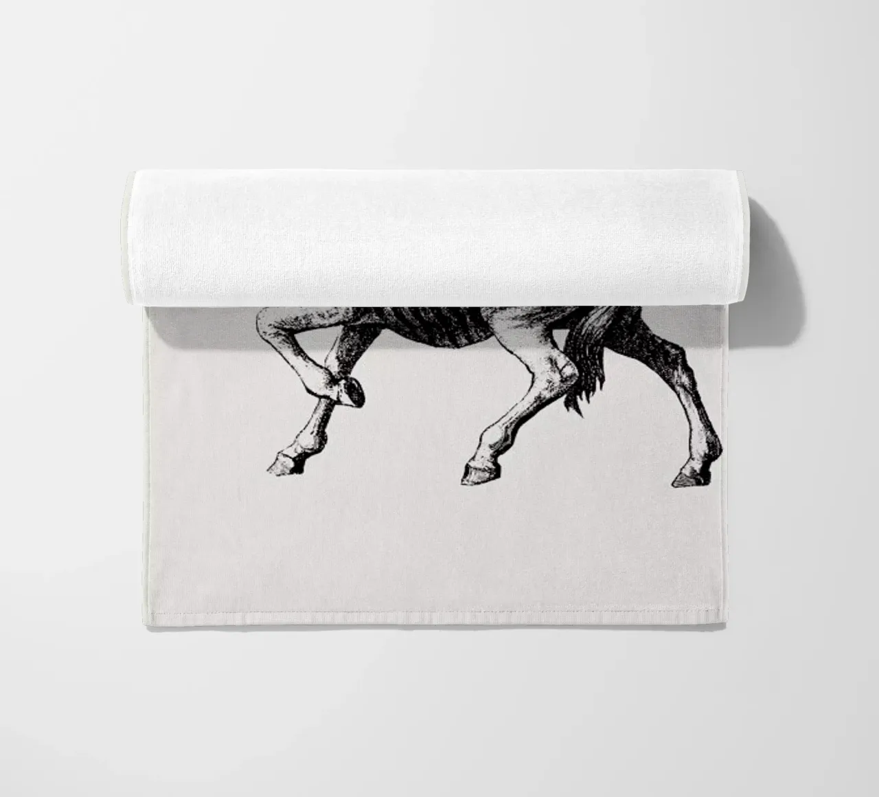 Zebra telo mare da Flora & Fauna