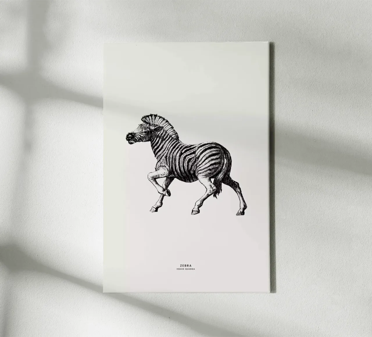 Zebra canvas met Baklijst van Flora & Fauna
