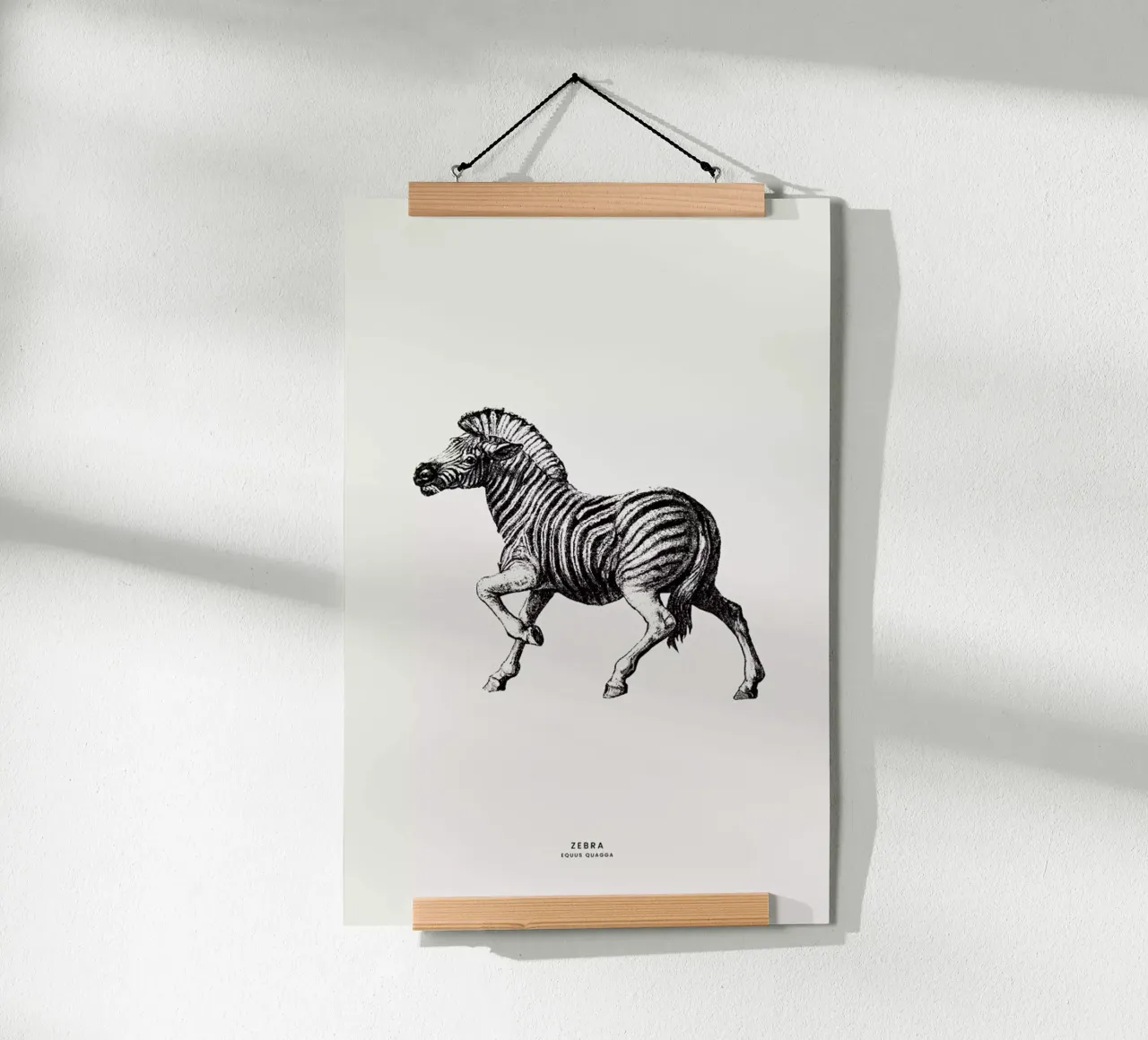 Zebra poster da Flora & Fauna