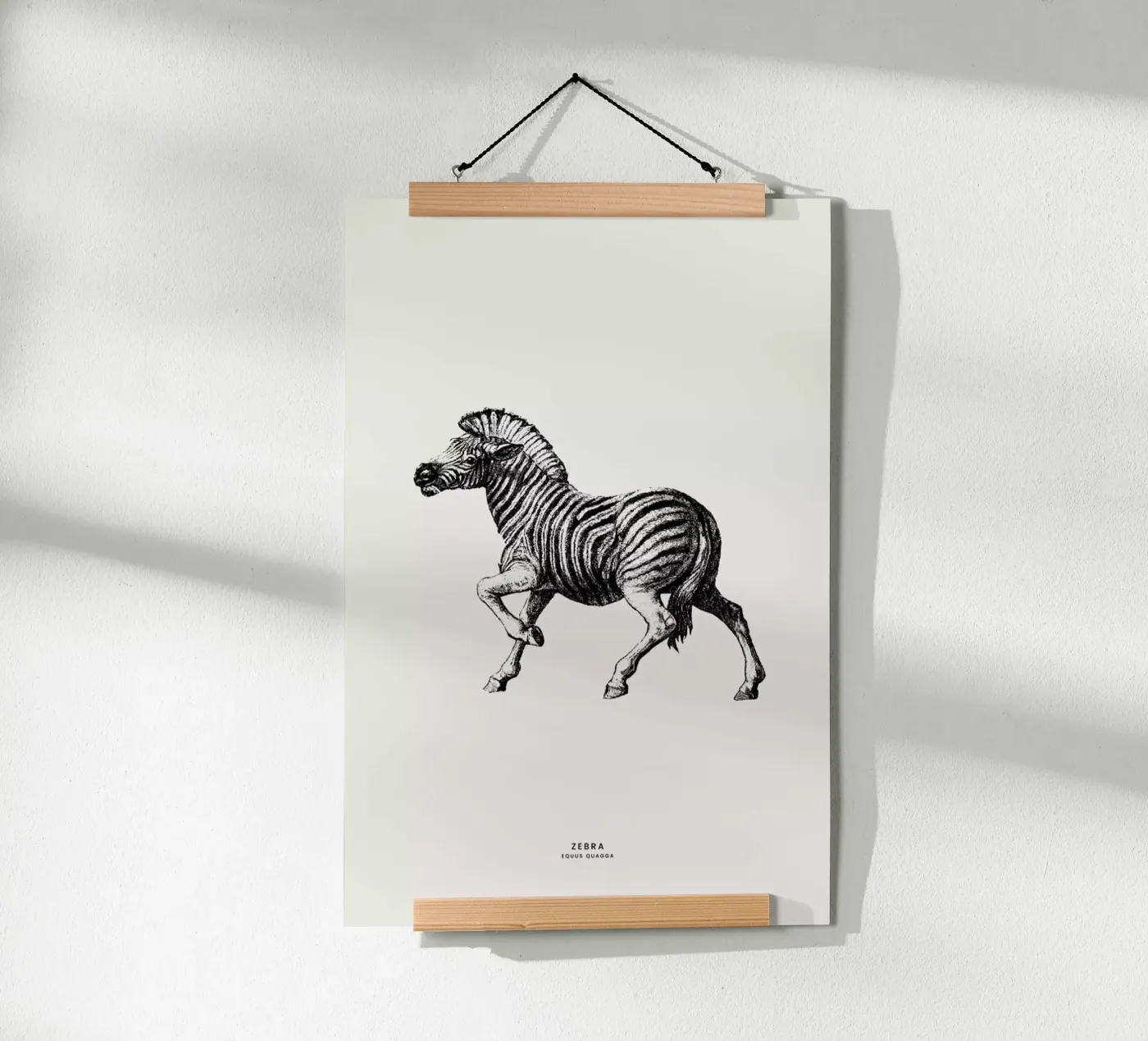 Zebra poster de Flora & Fauna