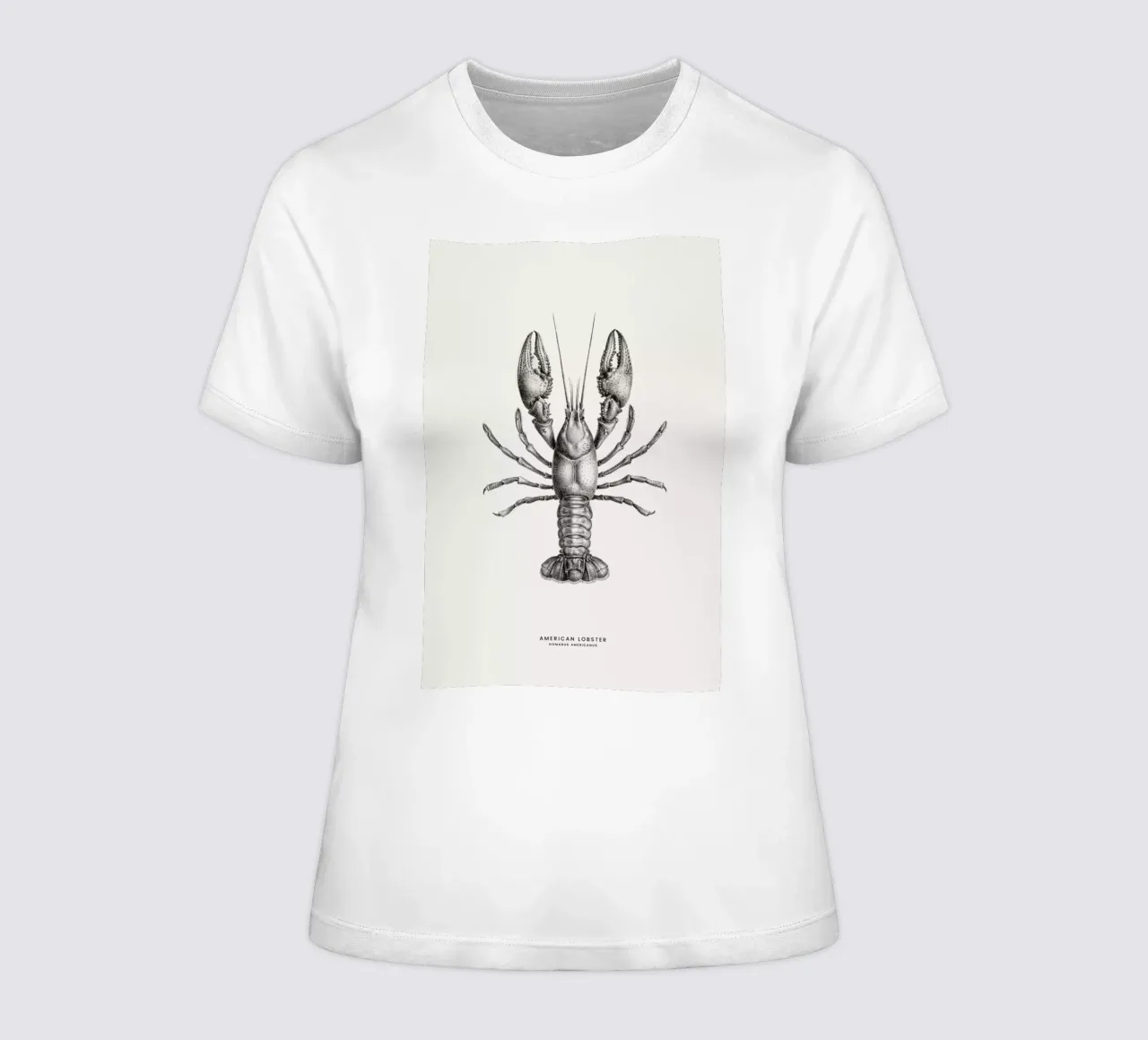 American Lobster women's fitted t-shirt by Flora & Fauna