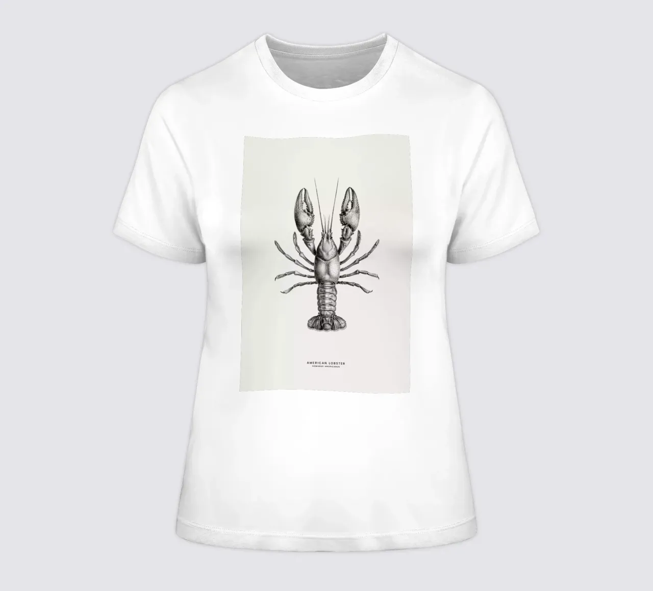 American Lobster women's fitted t-shirt by Flora & Fauna