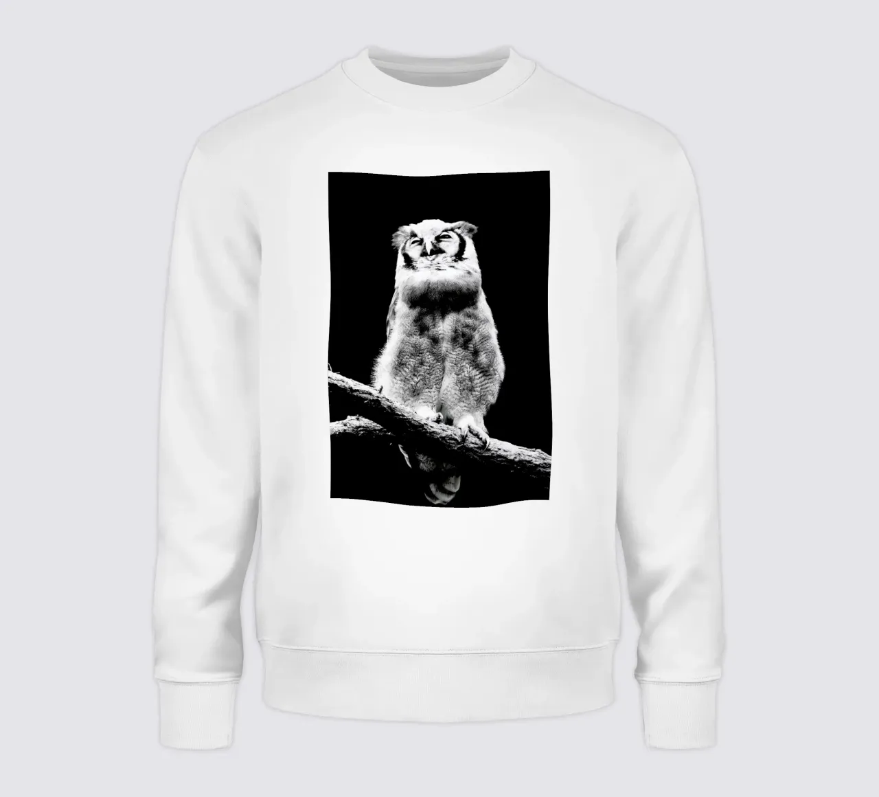 Dark Owl sweatshirt van Babett Schultze