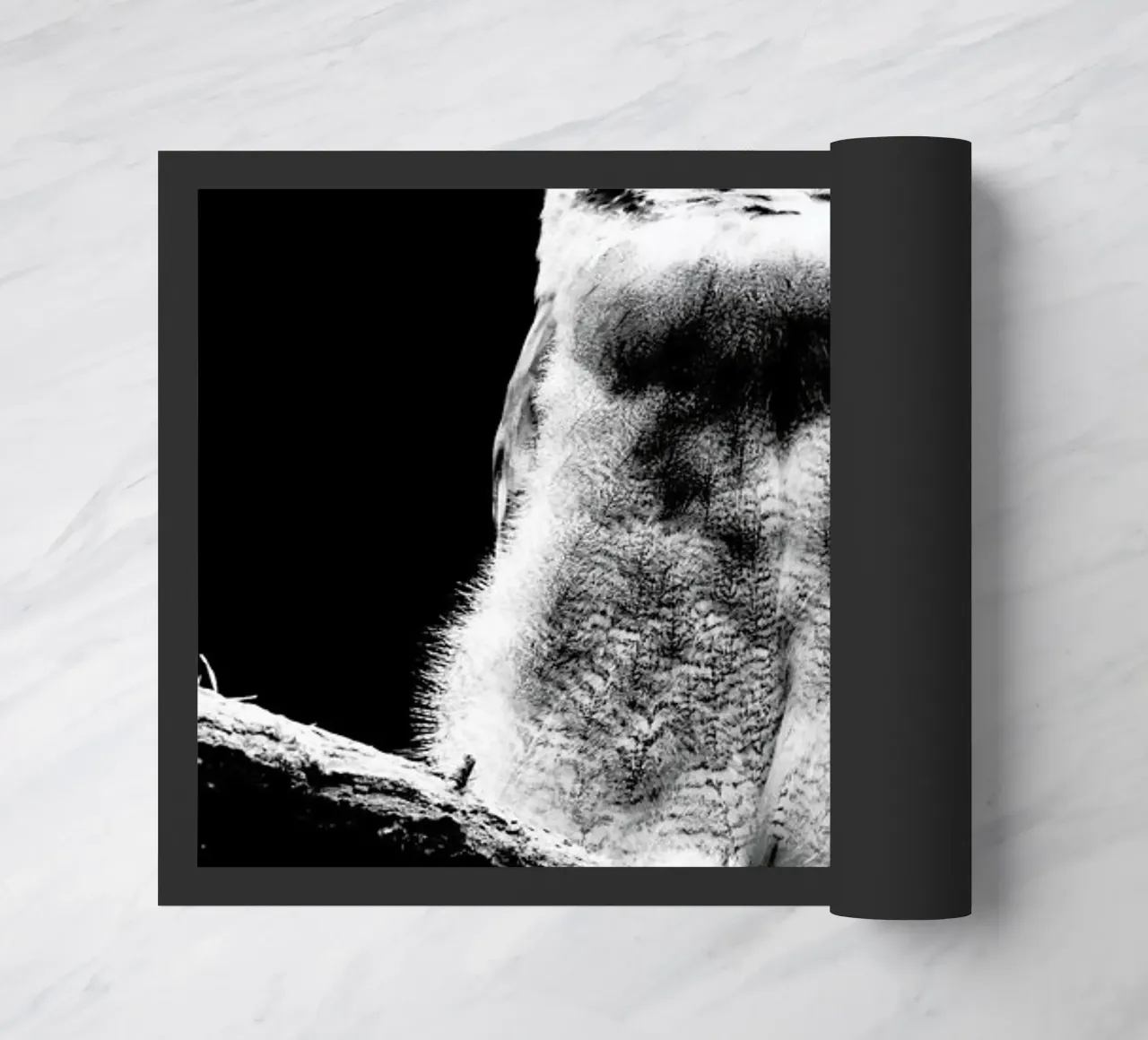 Dark Owl zerbino da Babett Schultze