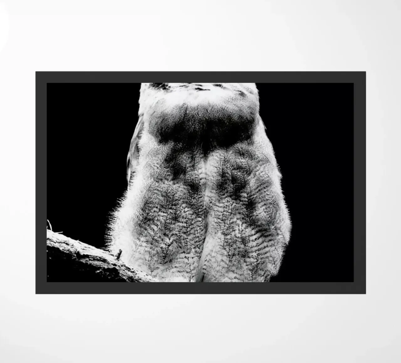 Dark Owl zerbino da Babett Schultze