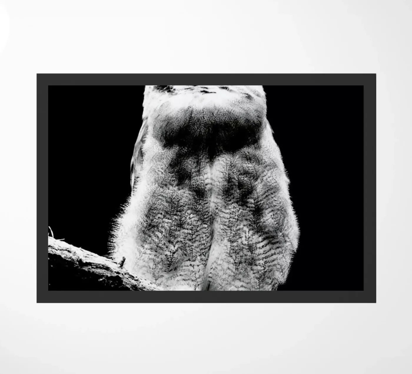 Dark Owl zerbino da Babett Schultze