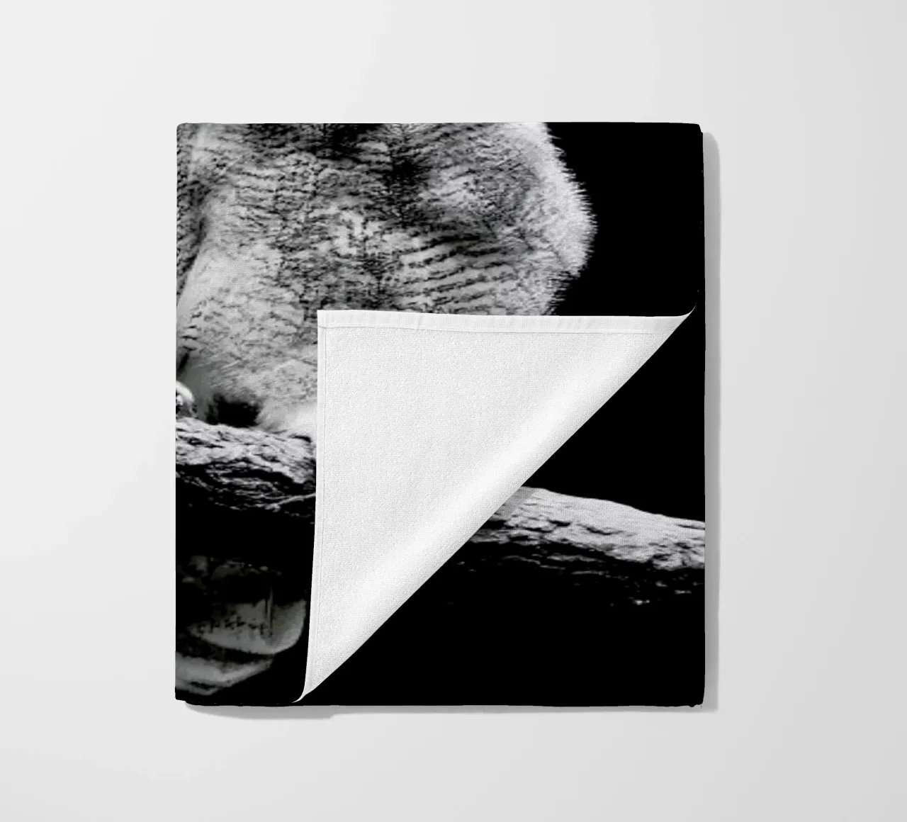 Dark Owl telo mare da Babett Schultze