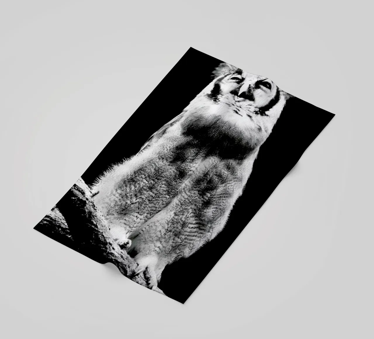 Dark Owl telo mare da Babett Schultze