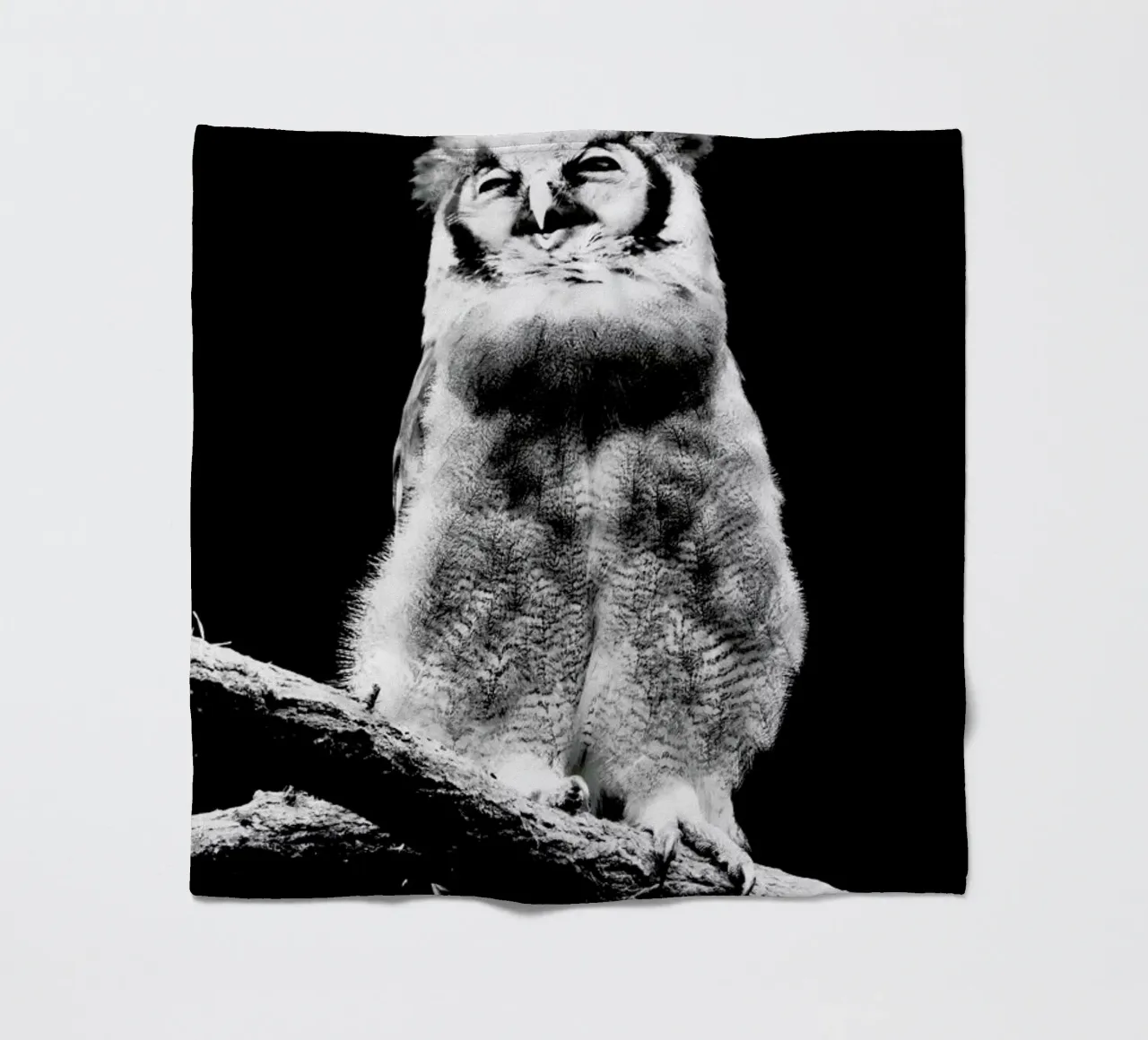 Dark Owl fleecedeken van Babett Schultze