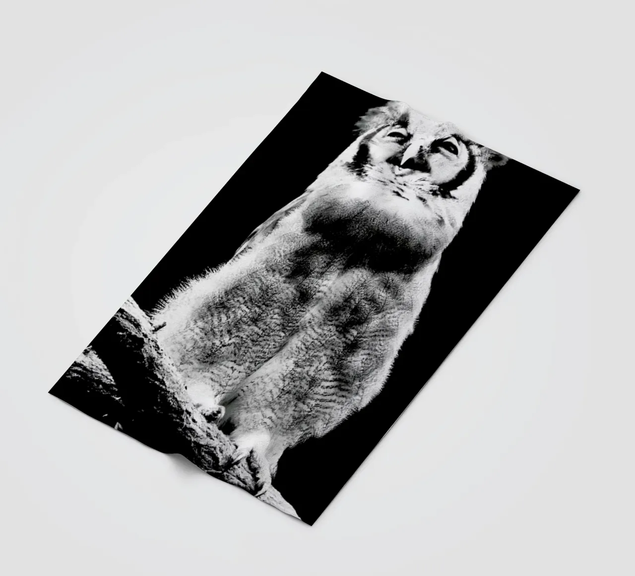 Dark Owl fleecedeken van Babett Schultze