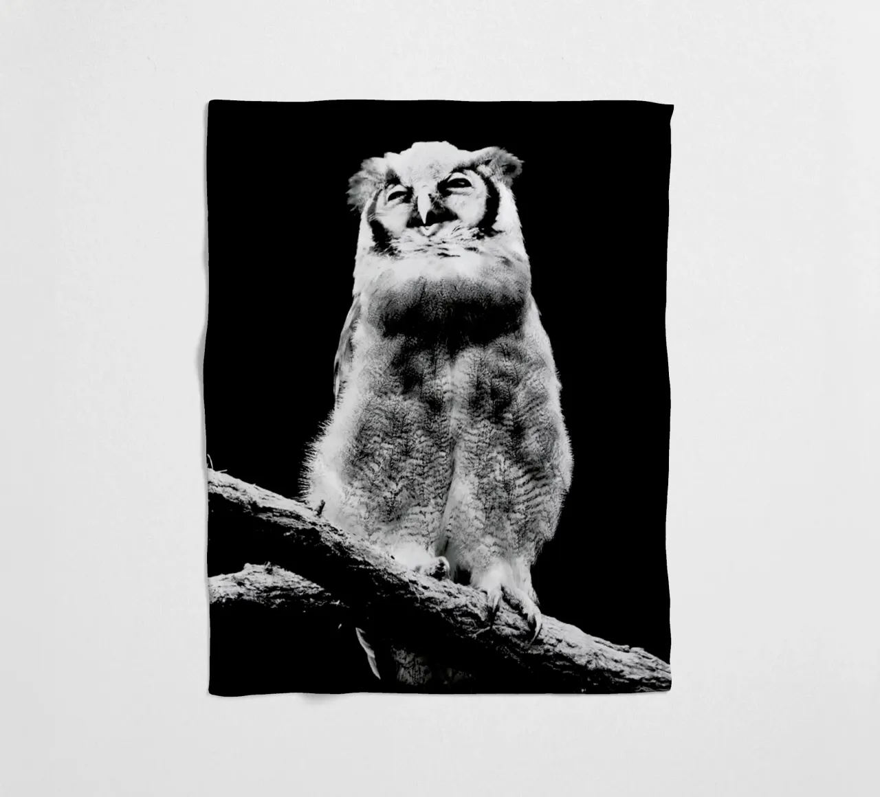 Dark Owl fleecedeken van Babett Schultze