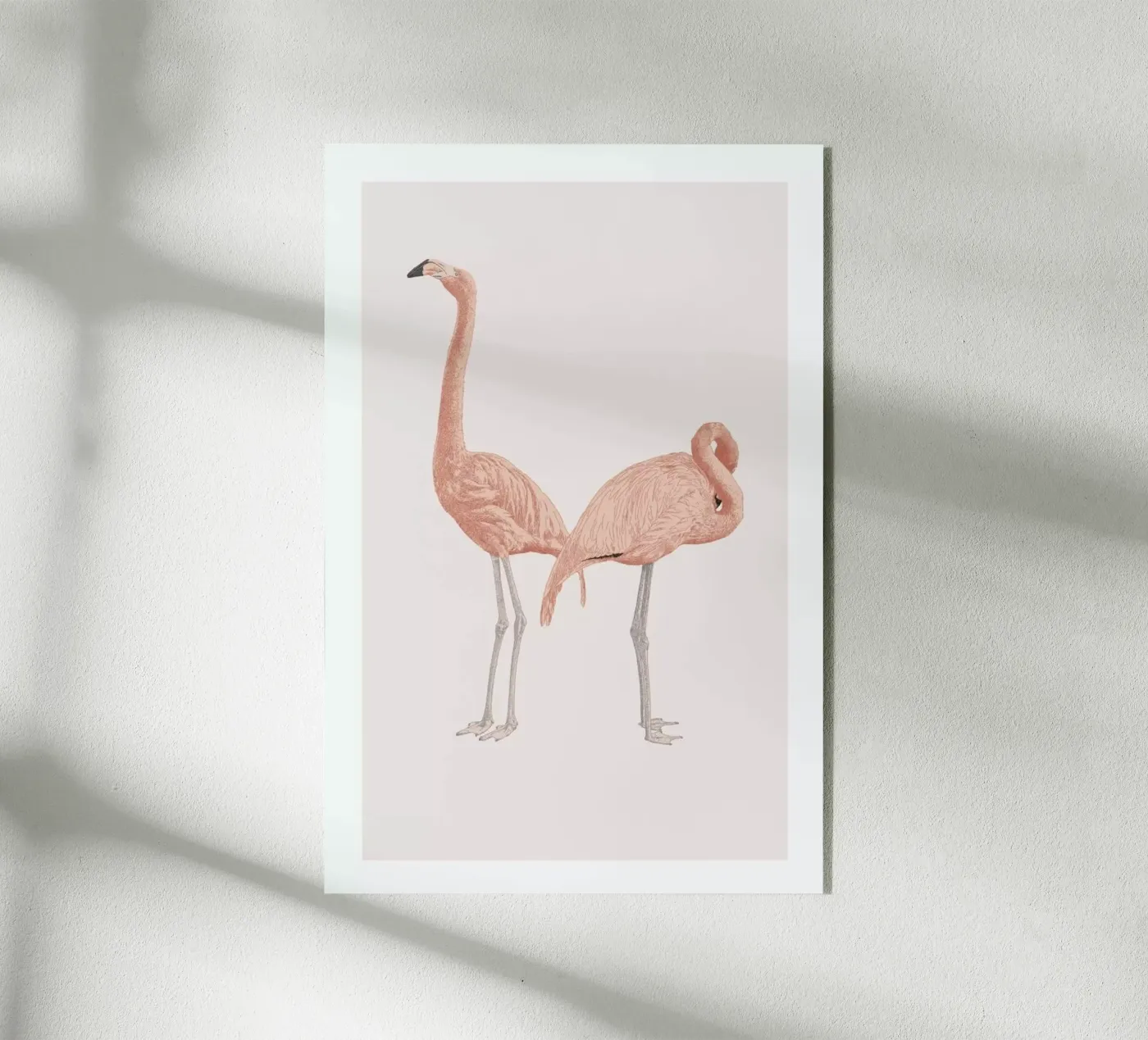 Pink Flamingos plexiglass da Flora & Fauna