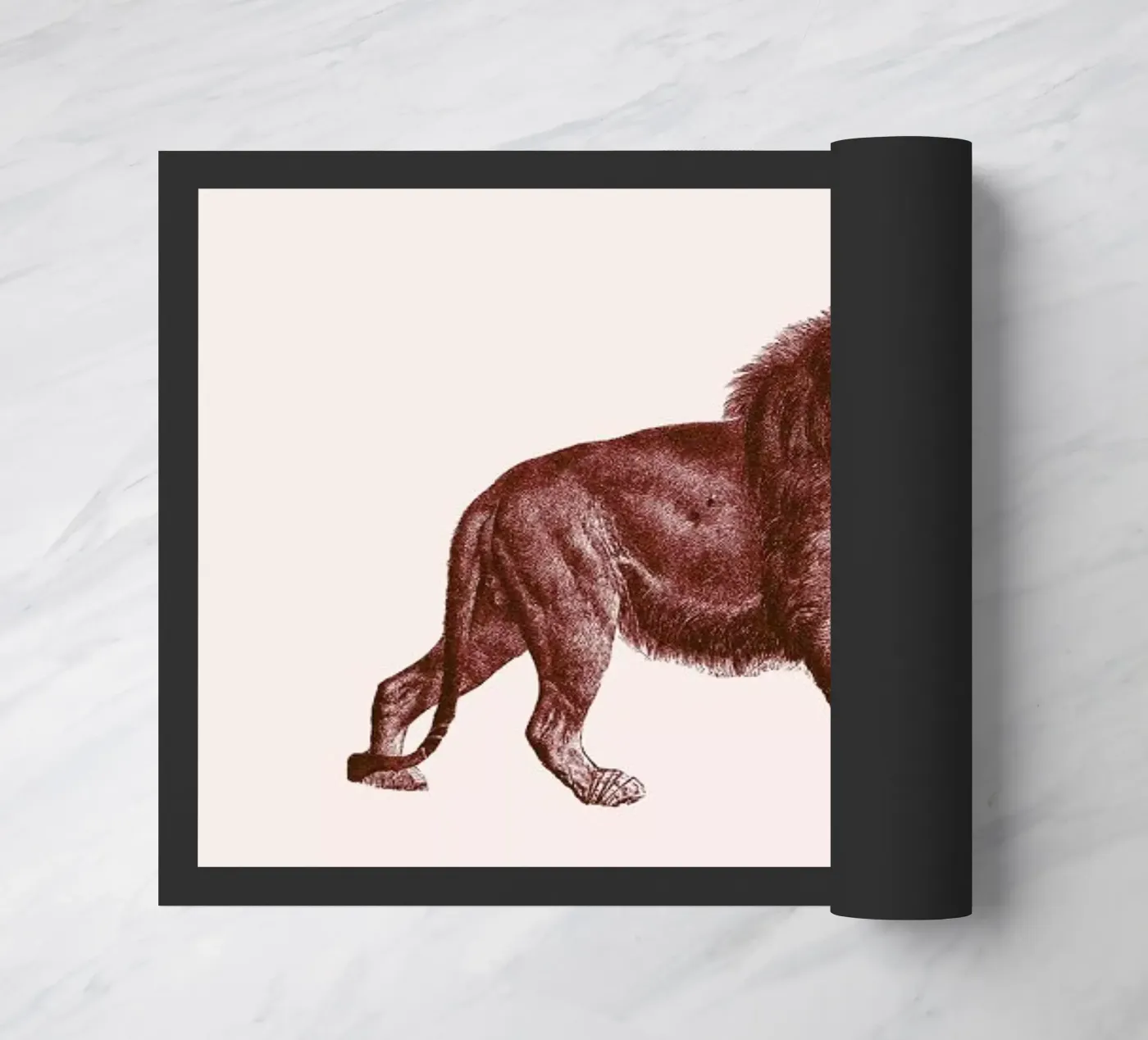 Lion II zerbino da Flora & Fauna