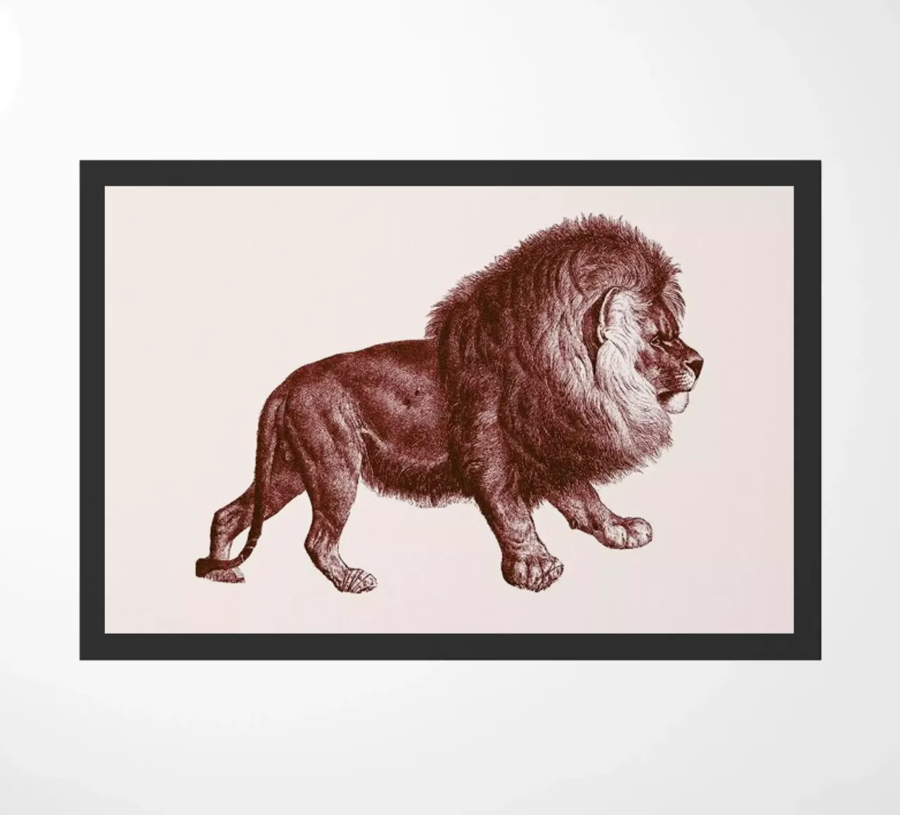 Lion II zerbino da Flora & Fauna
