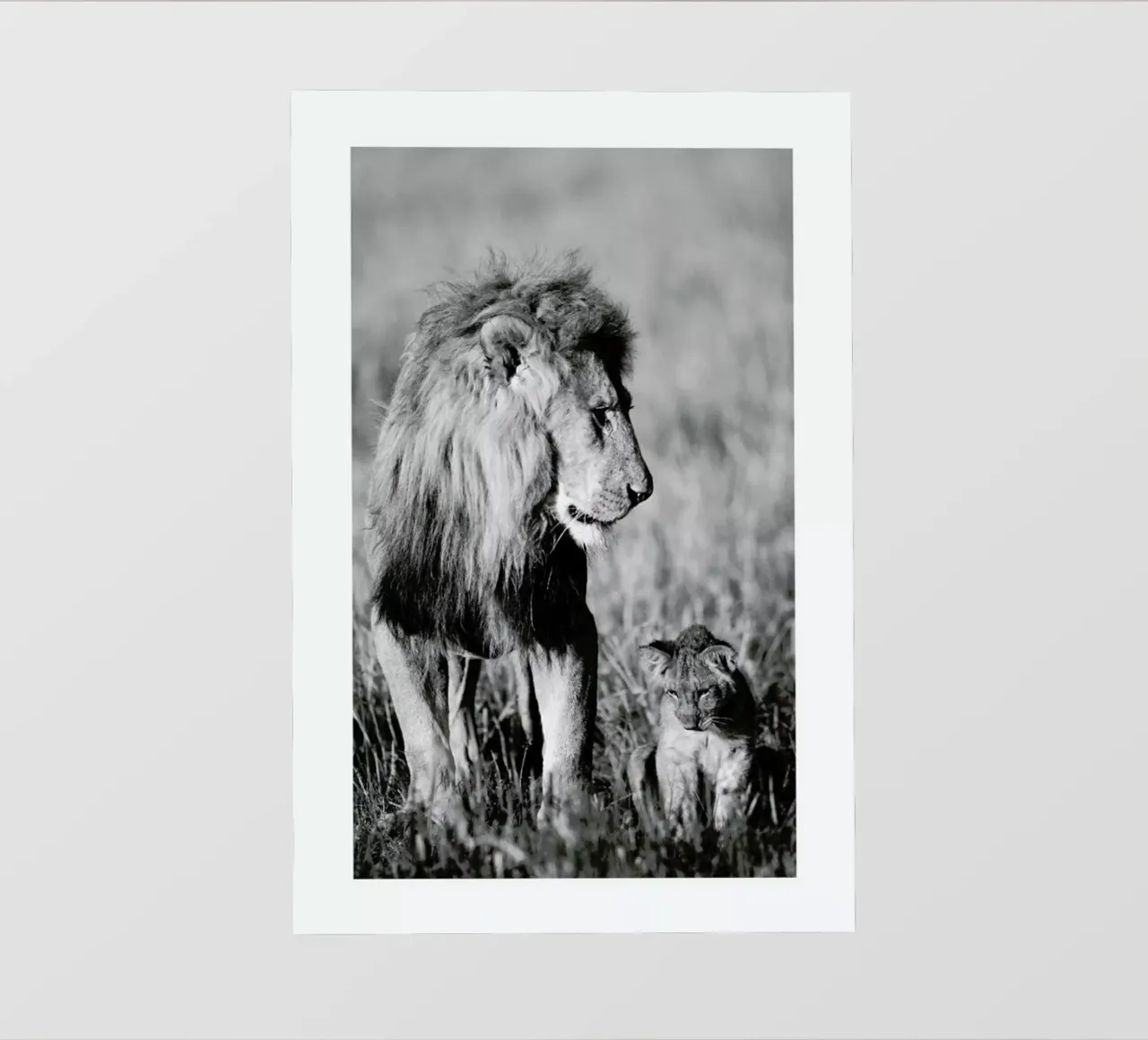 Lion Teaching His Cub telo in pvc da Natural Kingdom