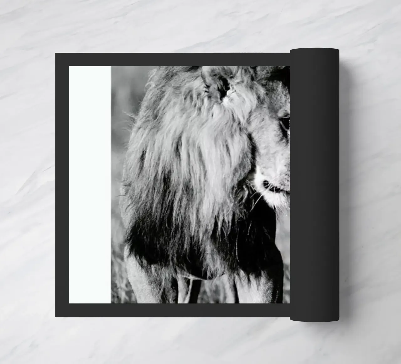 Lion Teaching His Cub zerbino da Natural Kingdom