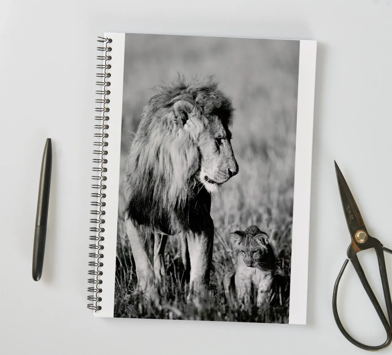 Lion Teaching His Cub spiral notebook by Natural Kingdom