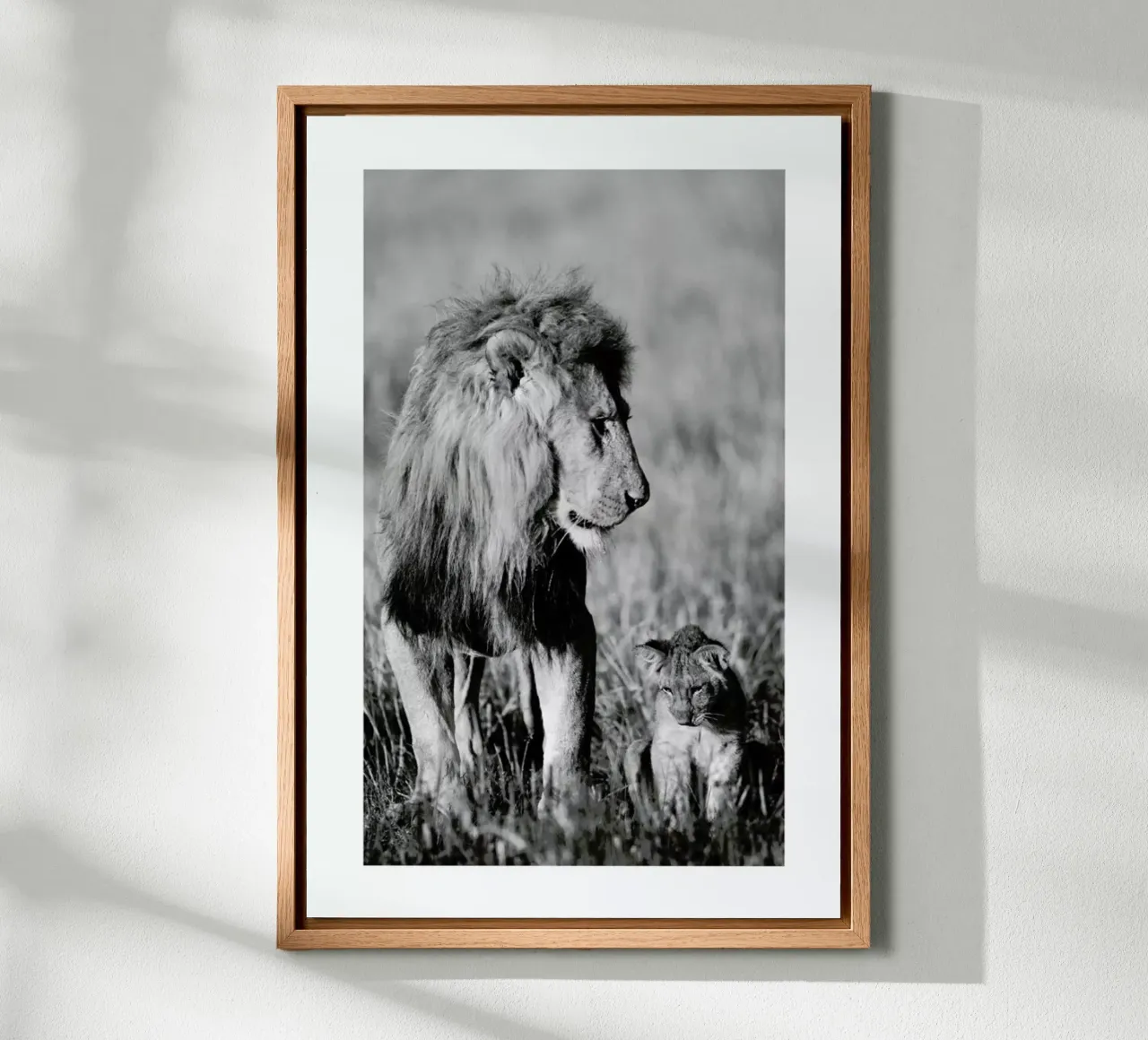 Lion Teaching His Cub tela da Natural Kingdom