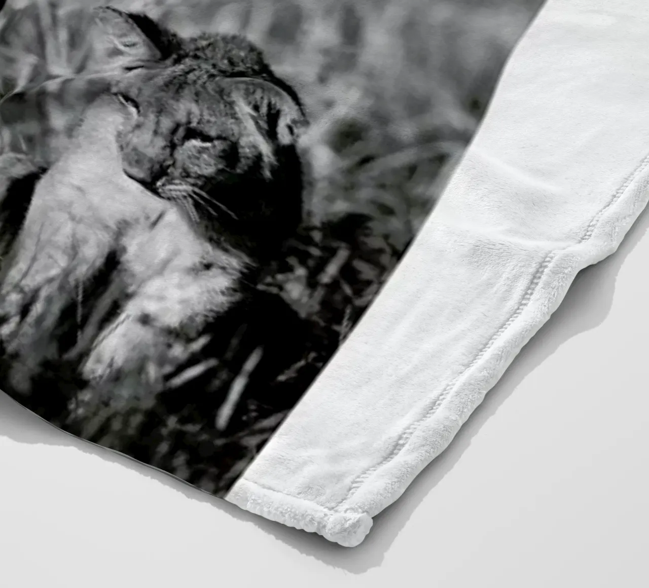 Lion Teaching His Cub coperta in pile da Natural Kingdom