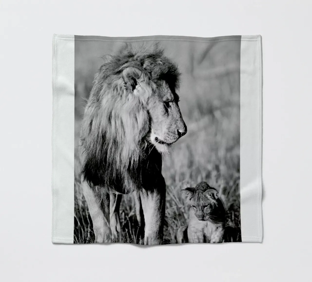 Lion Teaching His Cub coperta in pile da Natural Kingdom