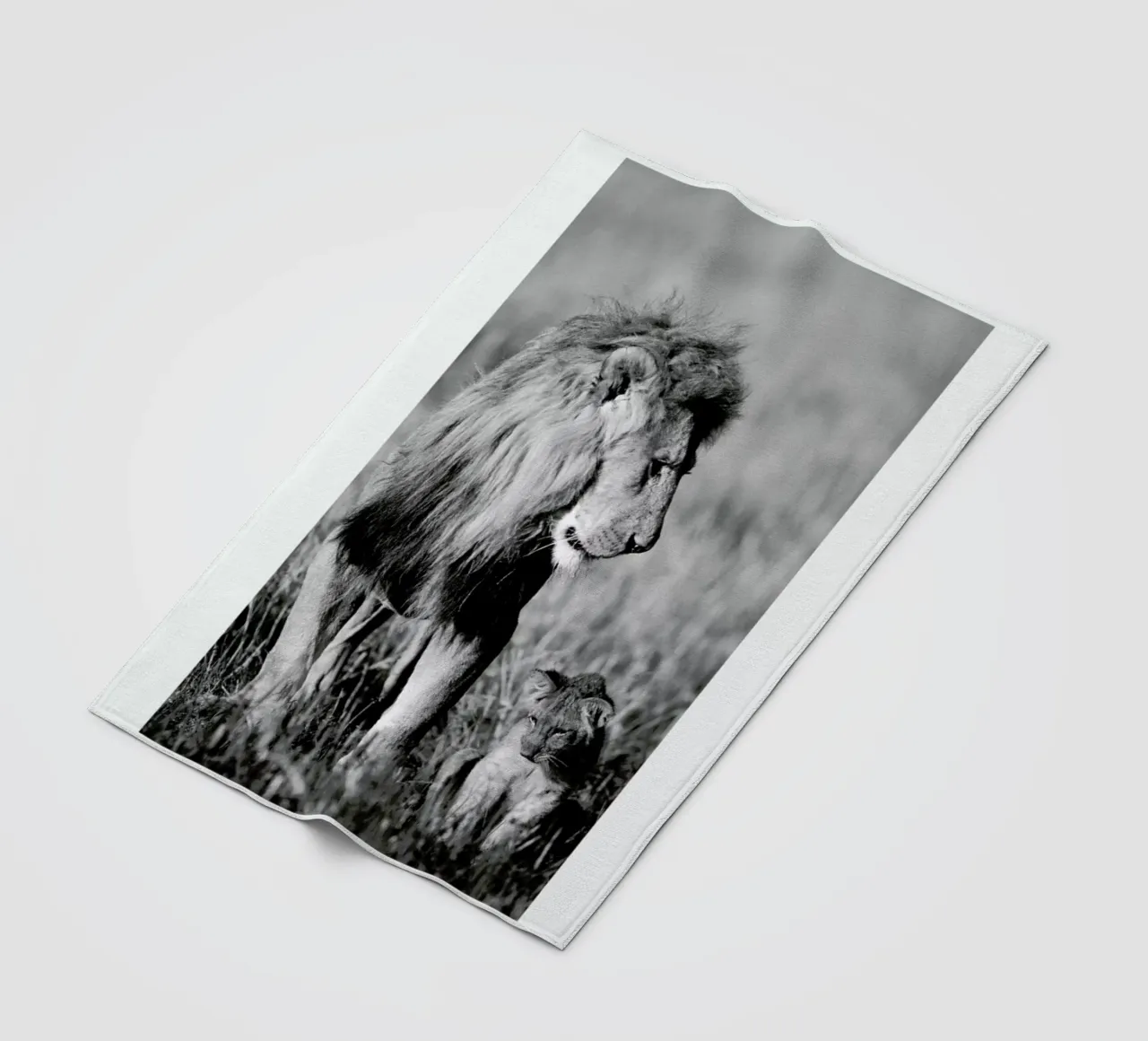 Lion Teaching His Cub coperta in pile da Natural Kingdom