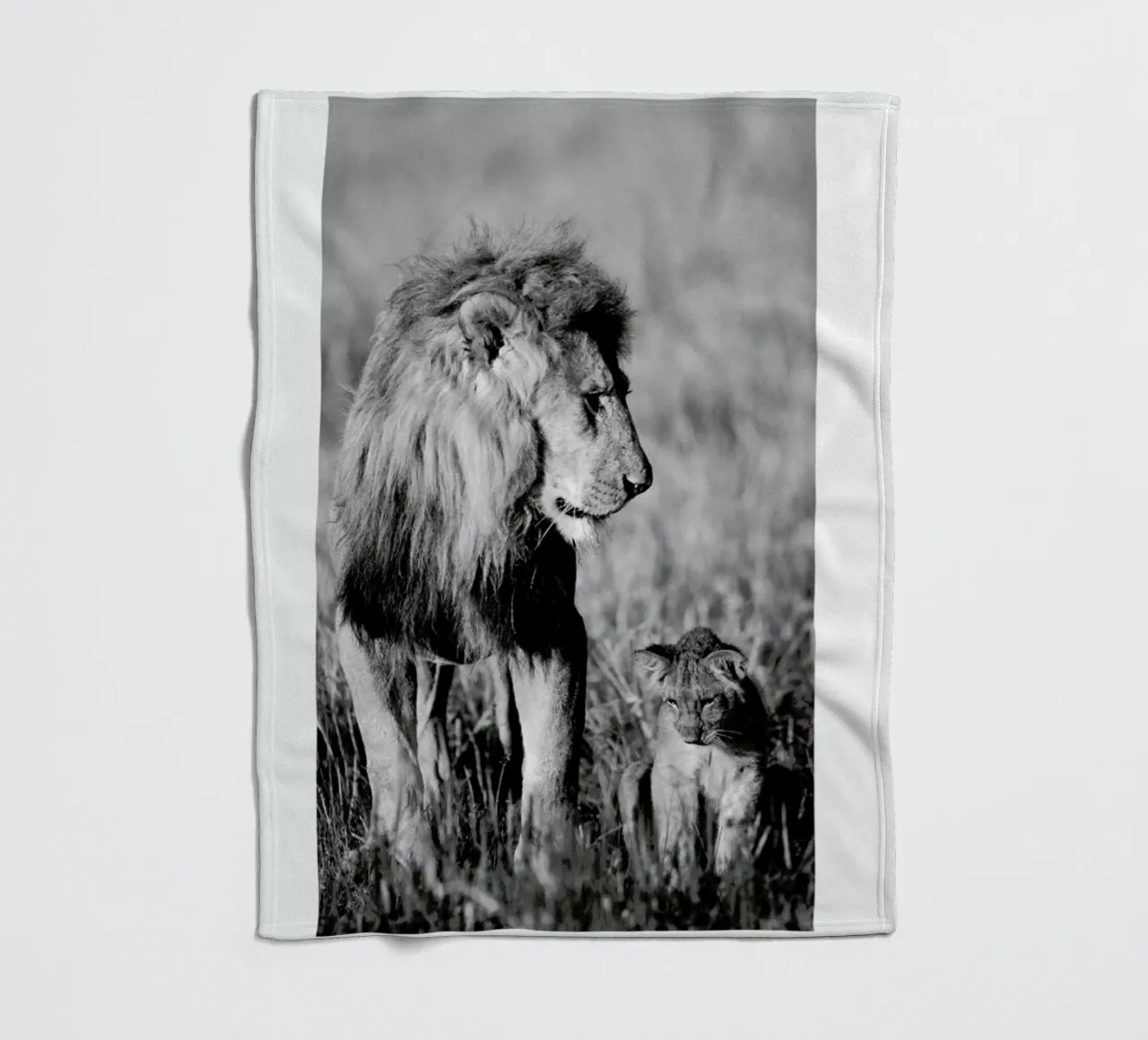 Lion Teaching His Cub coperta in pile da Natural Kingdom