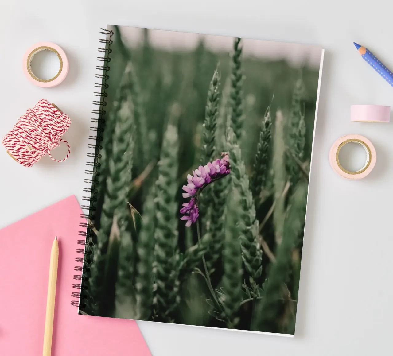 Splash of colour in the grain spiral notebook by Sibbershusum