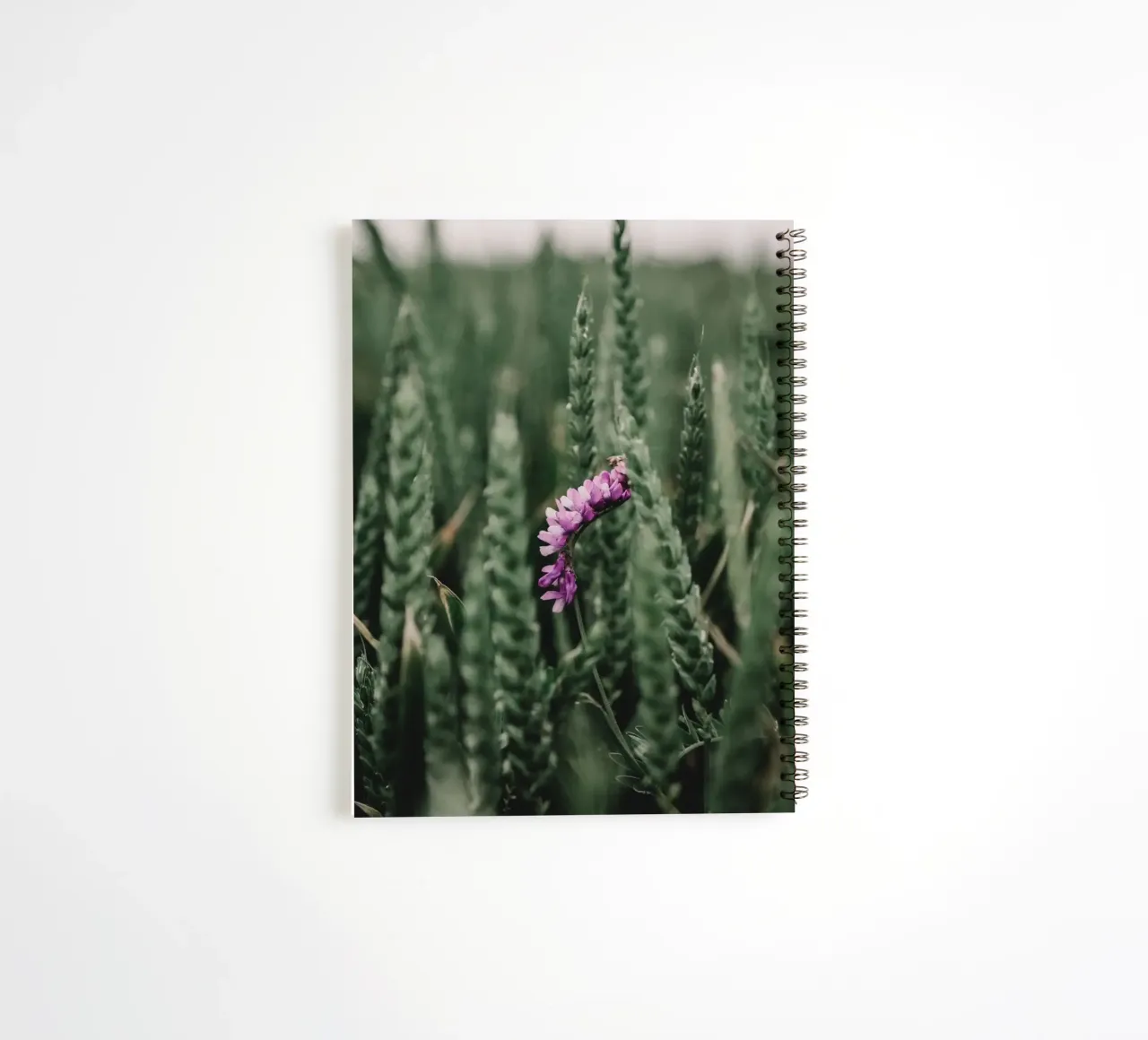 Splash of colour in the grain spiral notebook by Sibbershusum