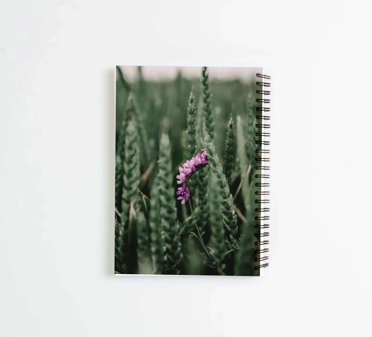 Splash of colour in the grain spiral notebook by Sibbershusum