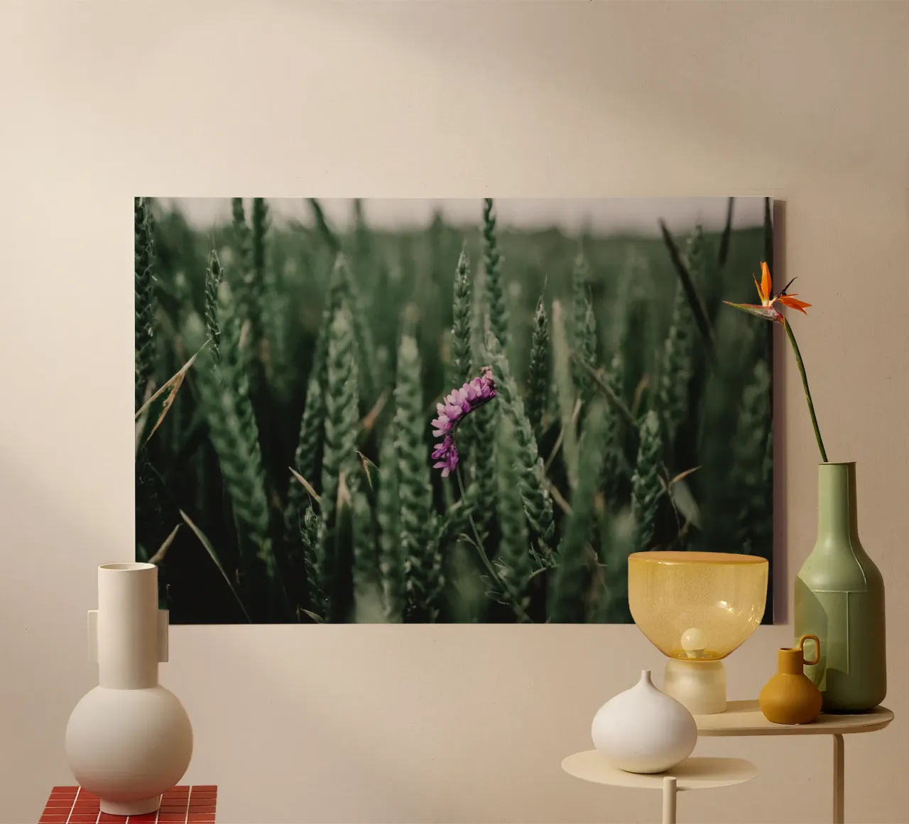 Splash of colour in the grain canvas by Sibbershusum