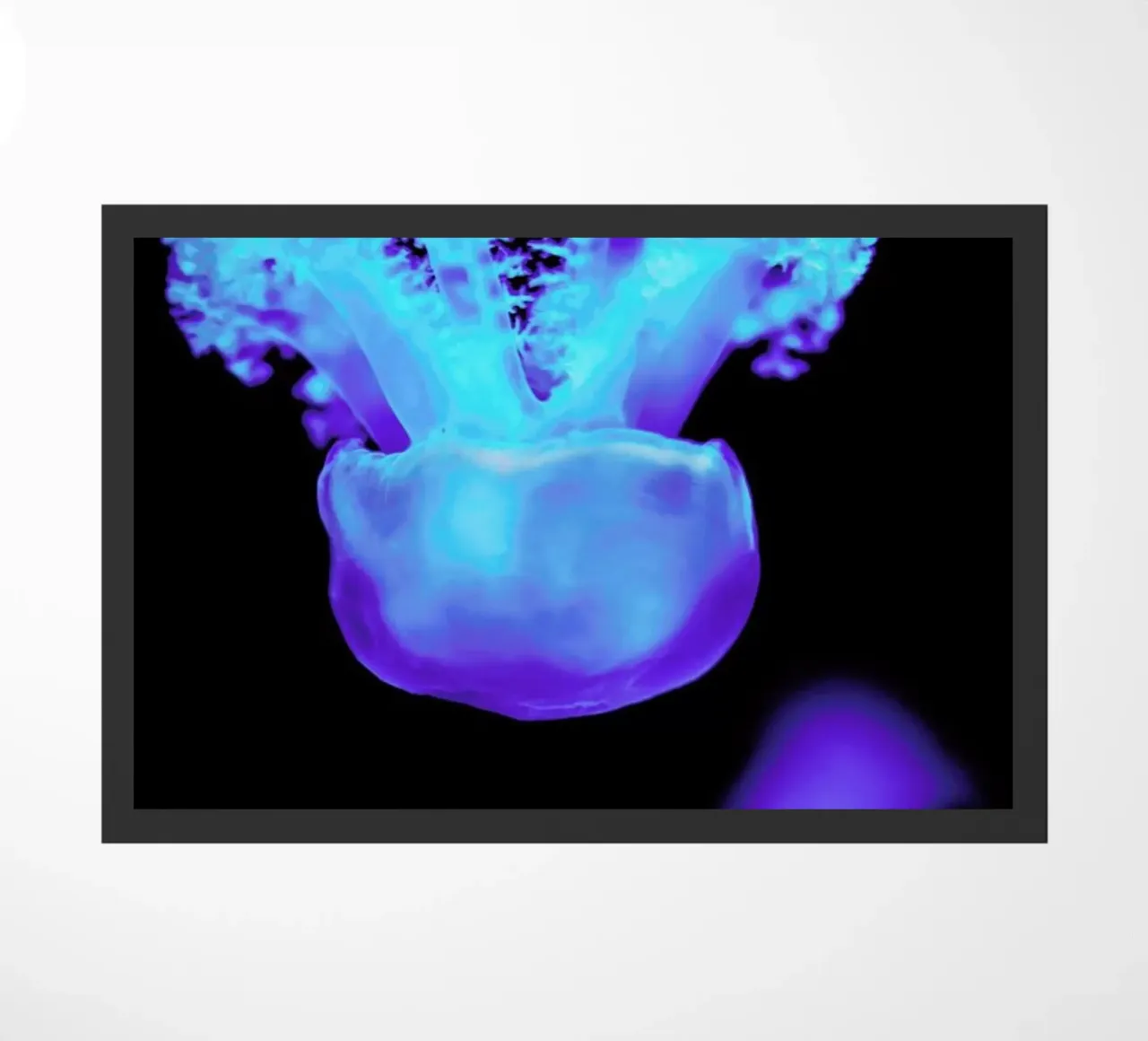 Floating Jellyfish zerbino da Babett Schultze