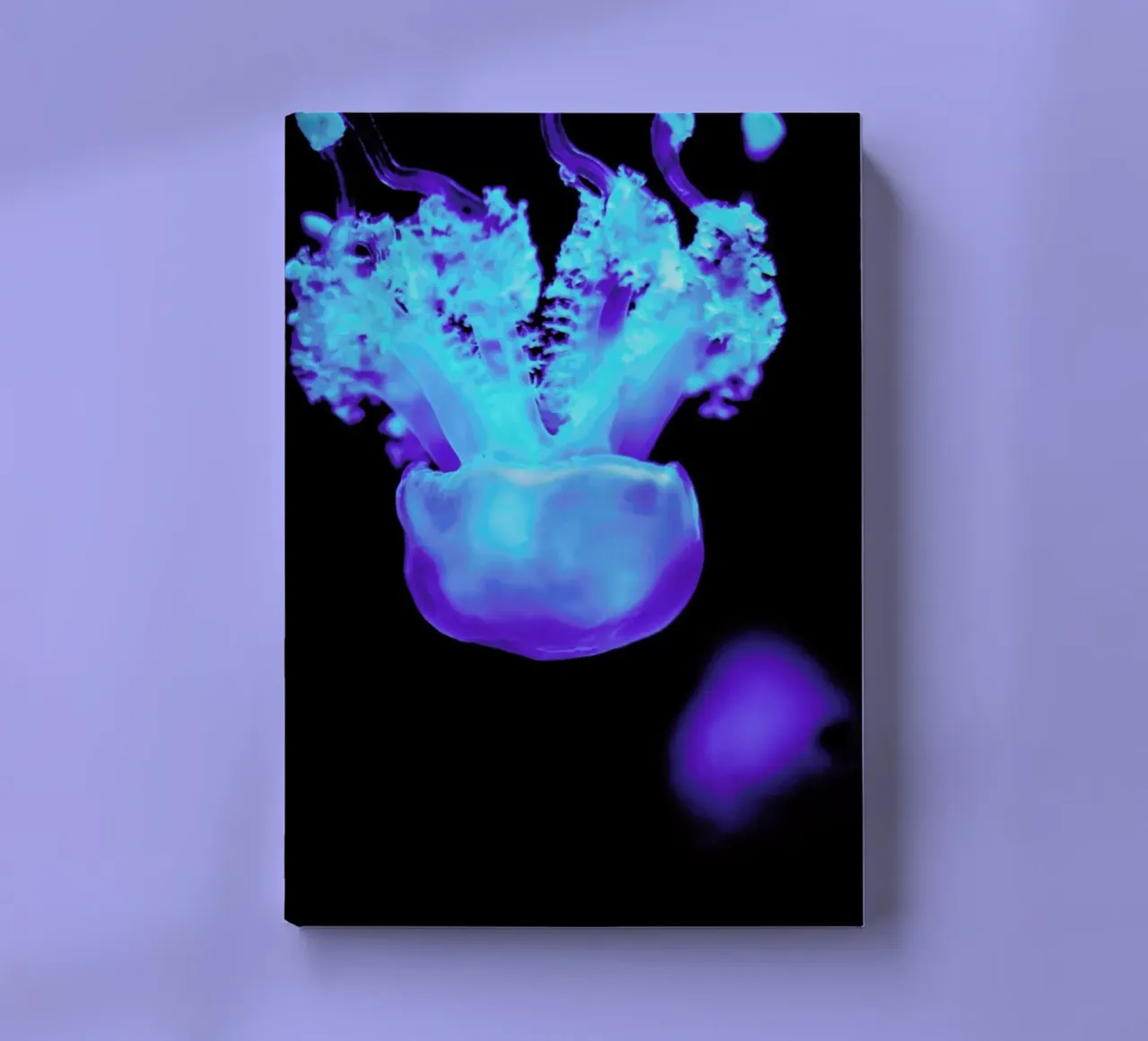 Floating Jellyfish notebook by Babett Schultze