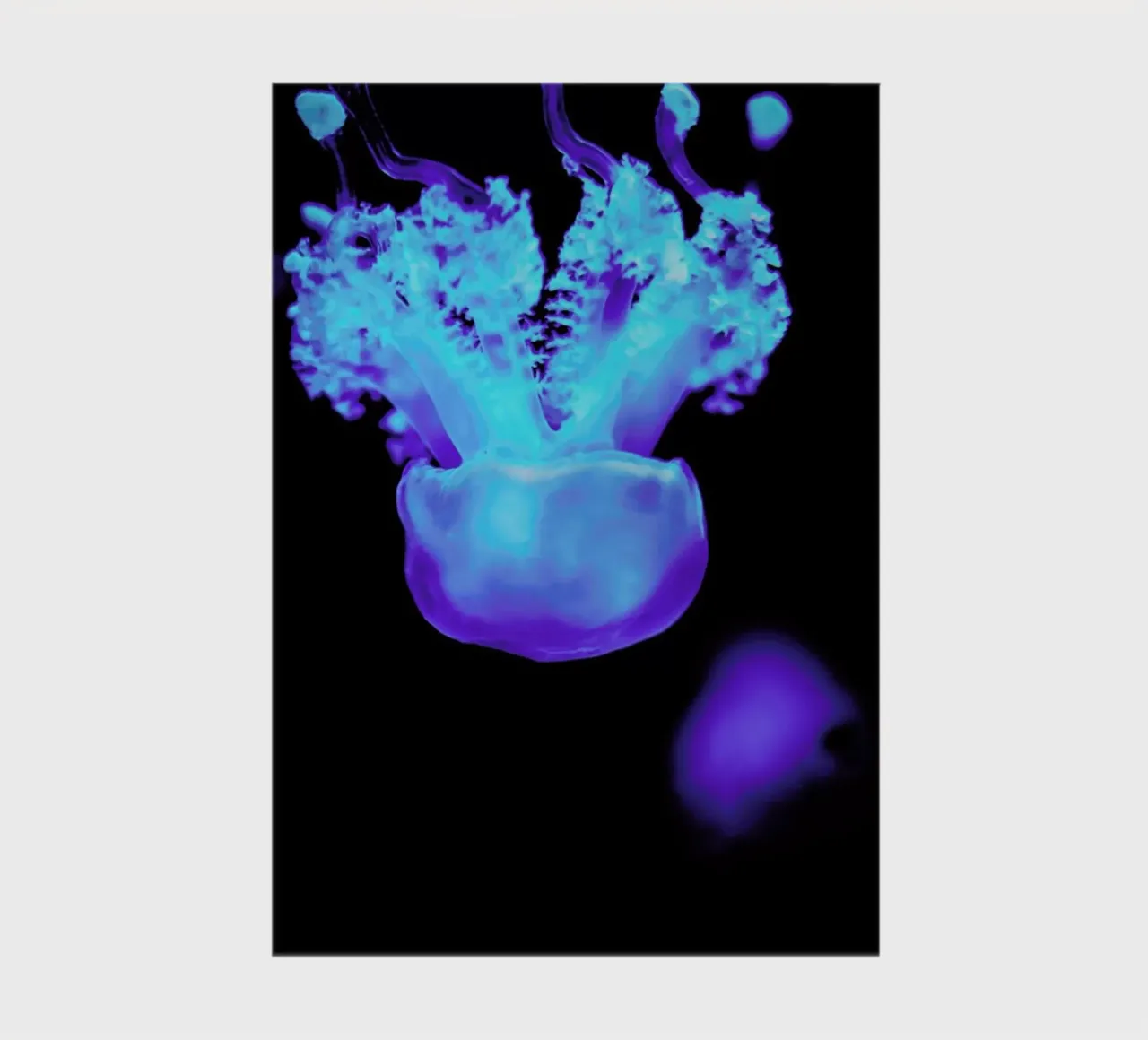 Floating Jellyfish notebook by Babett Schultze