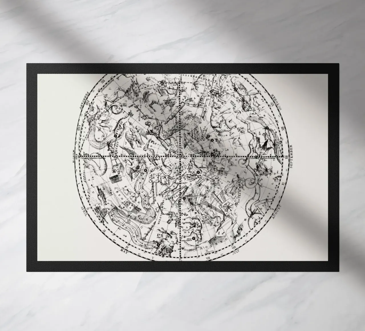 Southern Hemisphere zerbino da Flora & Fauna