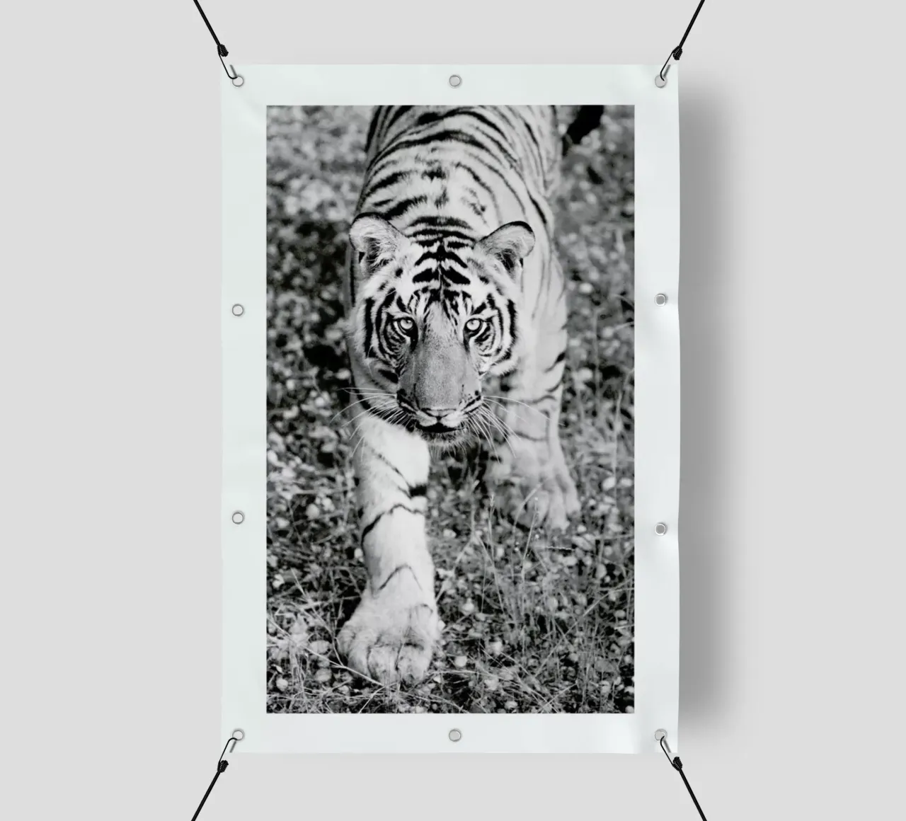 The Hunter telo in pvc da Natural Kingdom