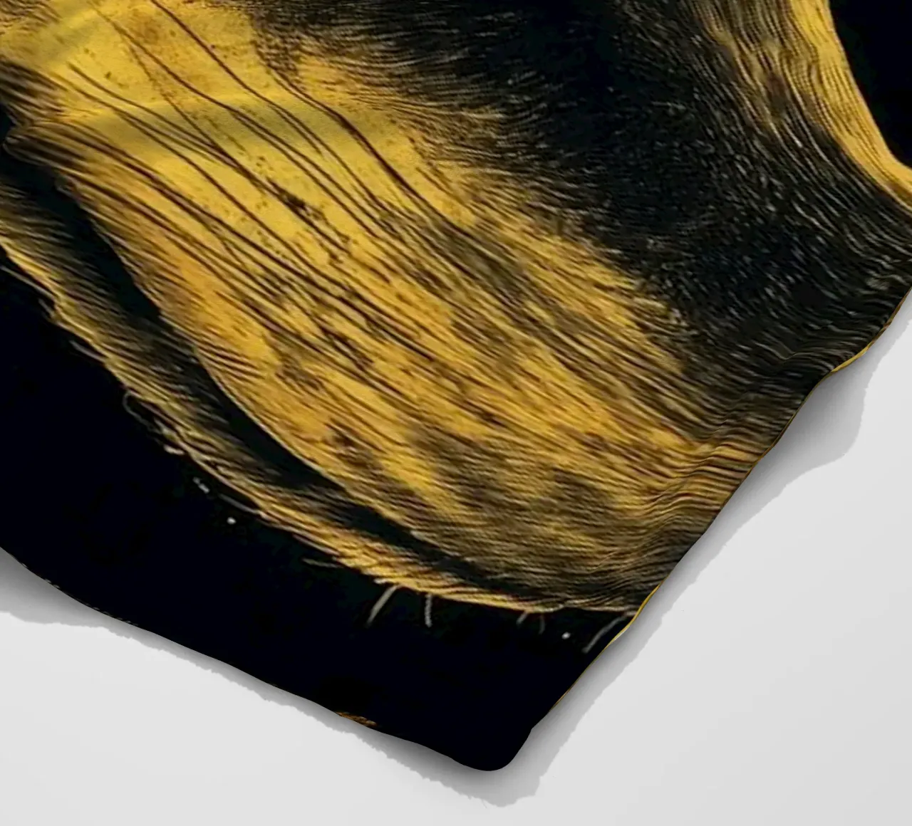 Lupo d'oro coperta in pile da Justyna Jaszke JBJart